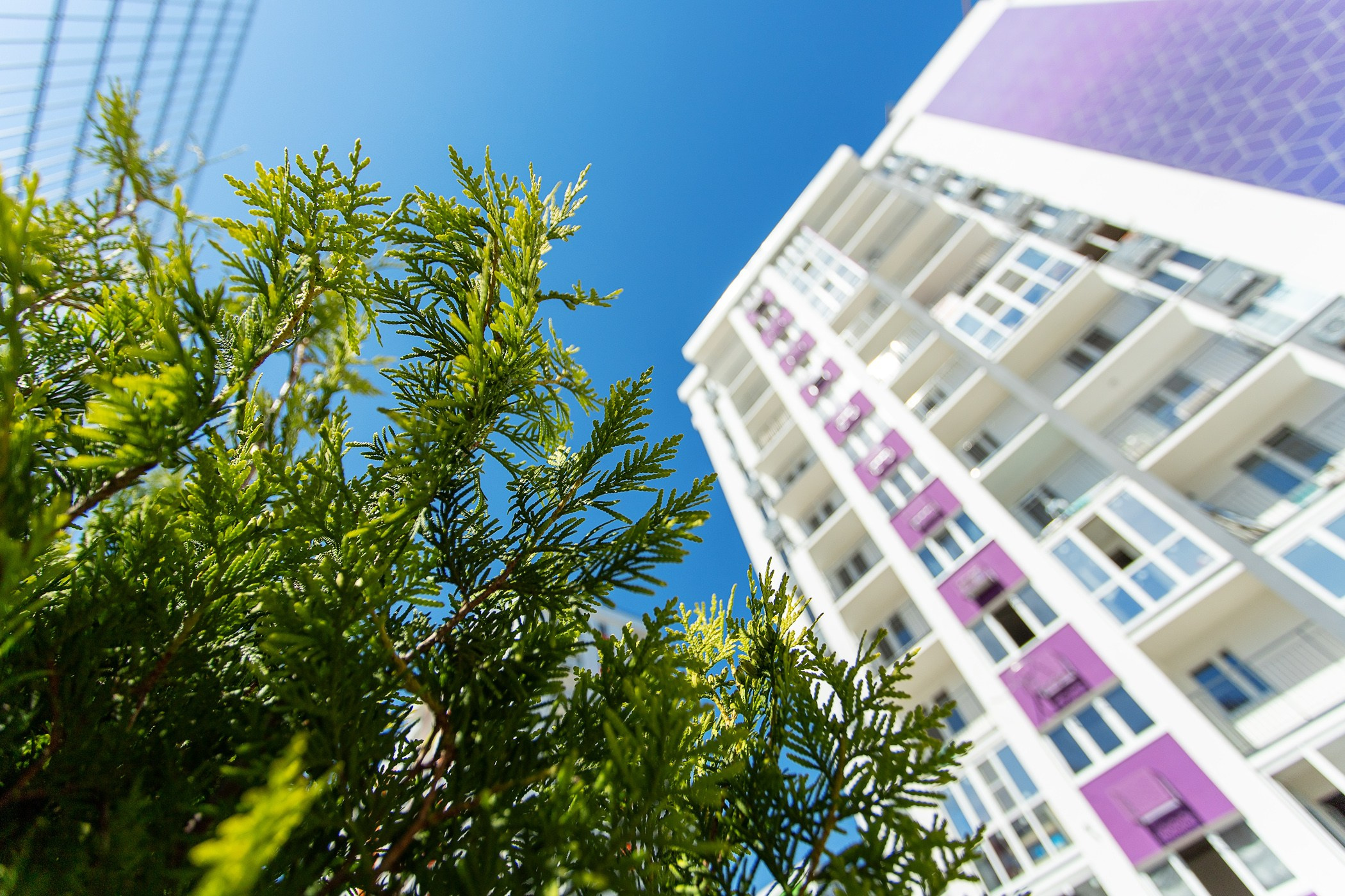 Пейзаж и Архитектура. Интерьерный и фуд фотограф в Сочи Дмитрий Арно