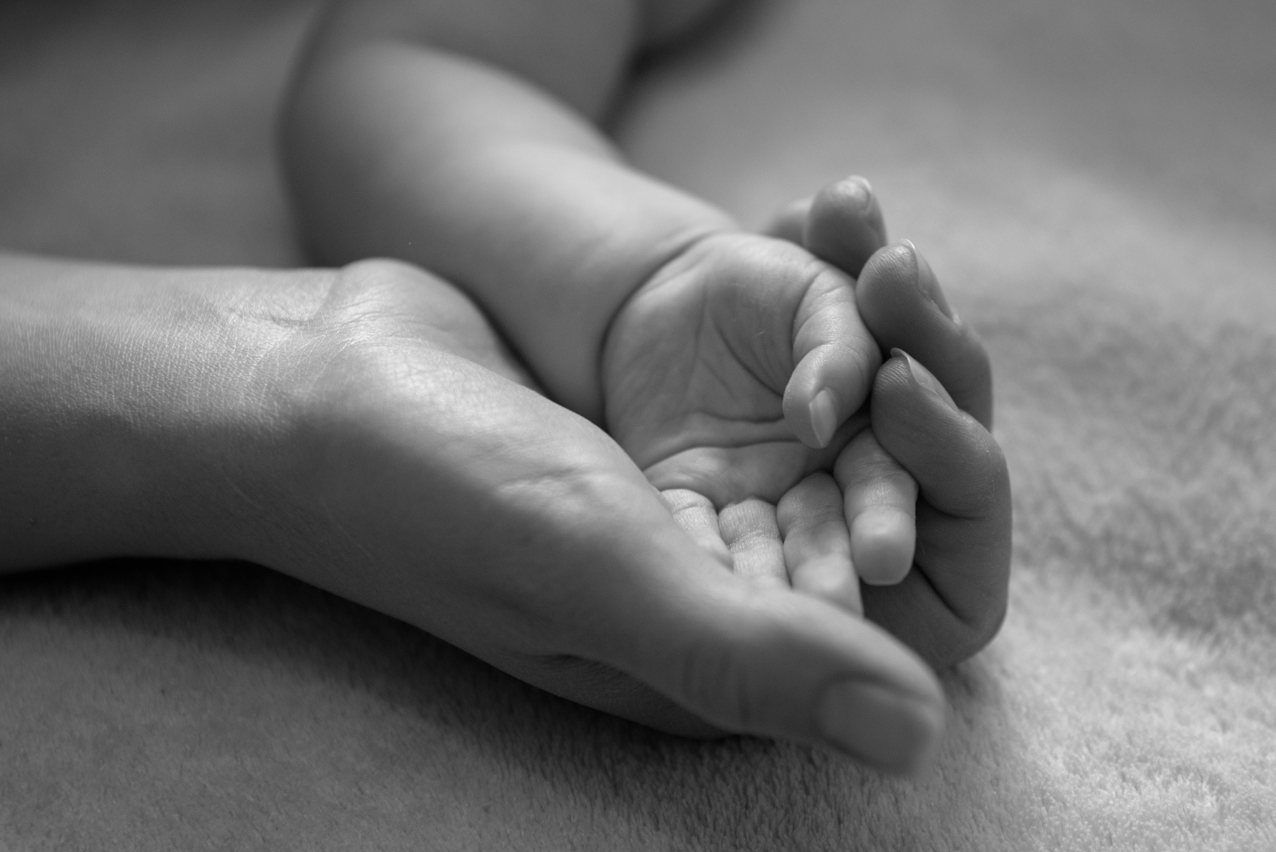 История безусловной нежности