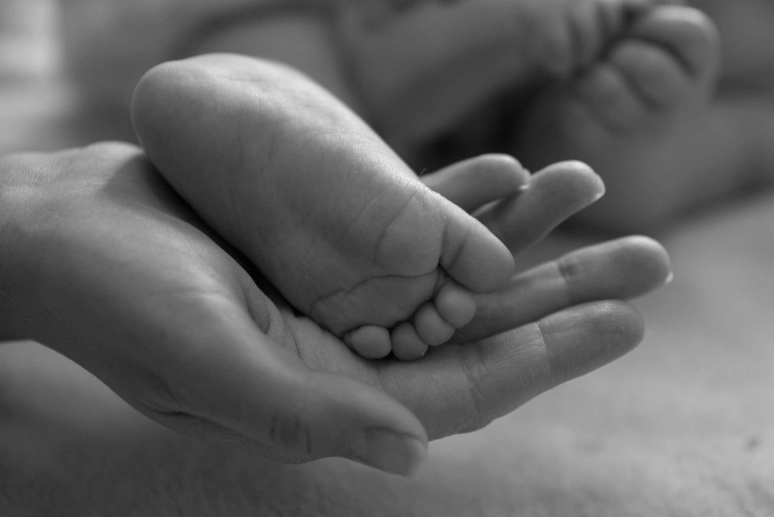 История безусловной нежности