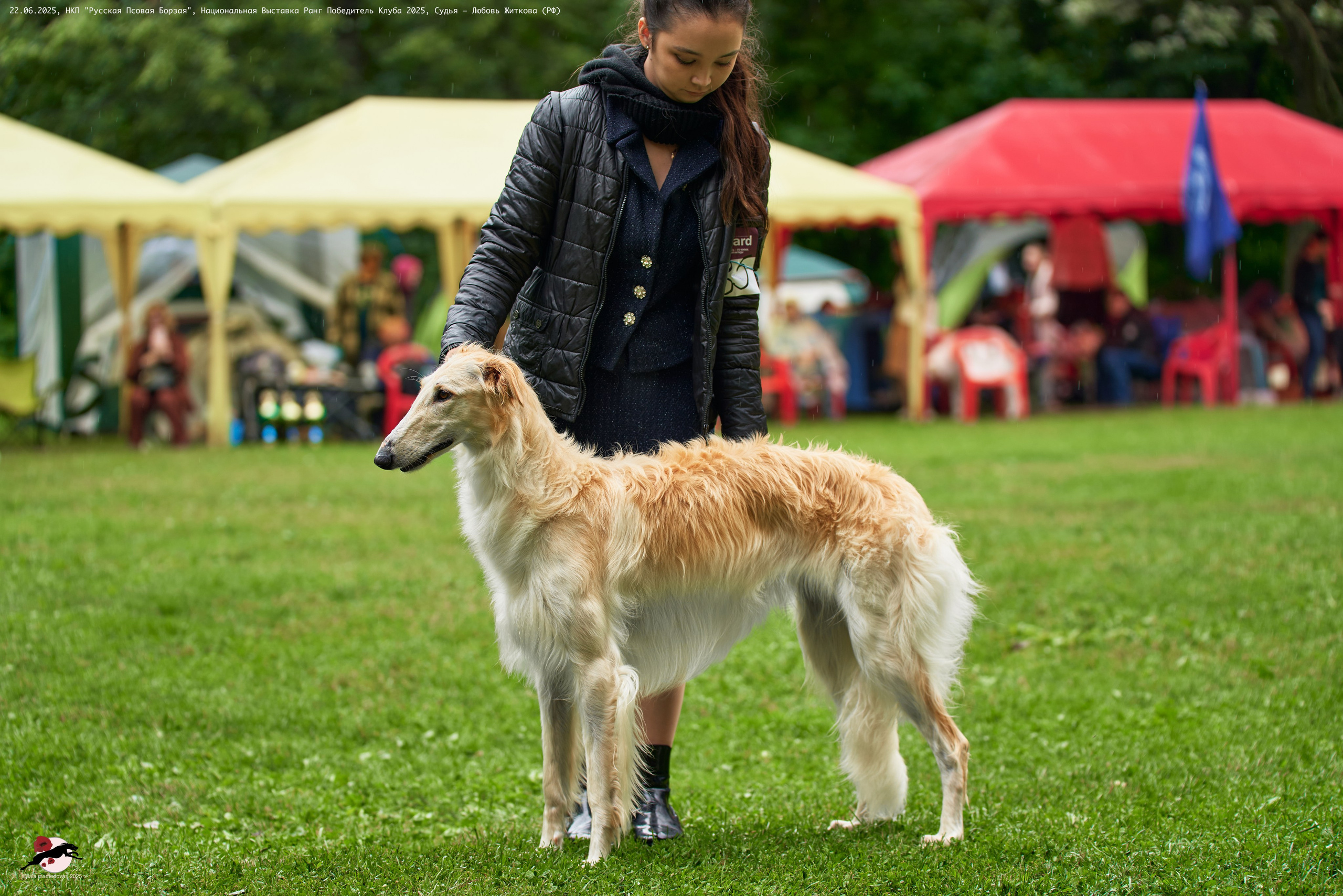 22.06.2025 | Национальная Выставка НКП "Русская Псовая Борзая"
