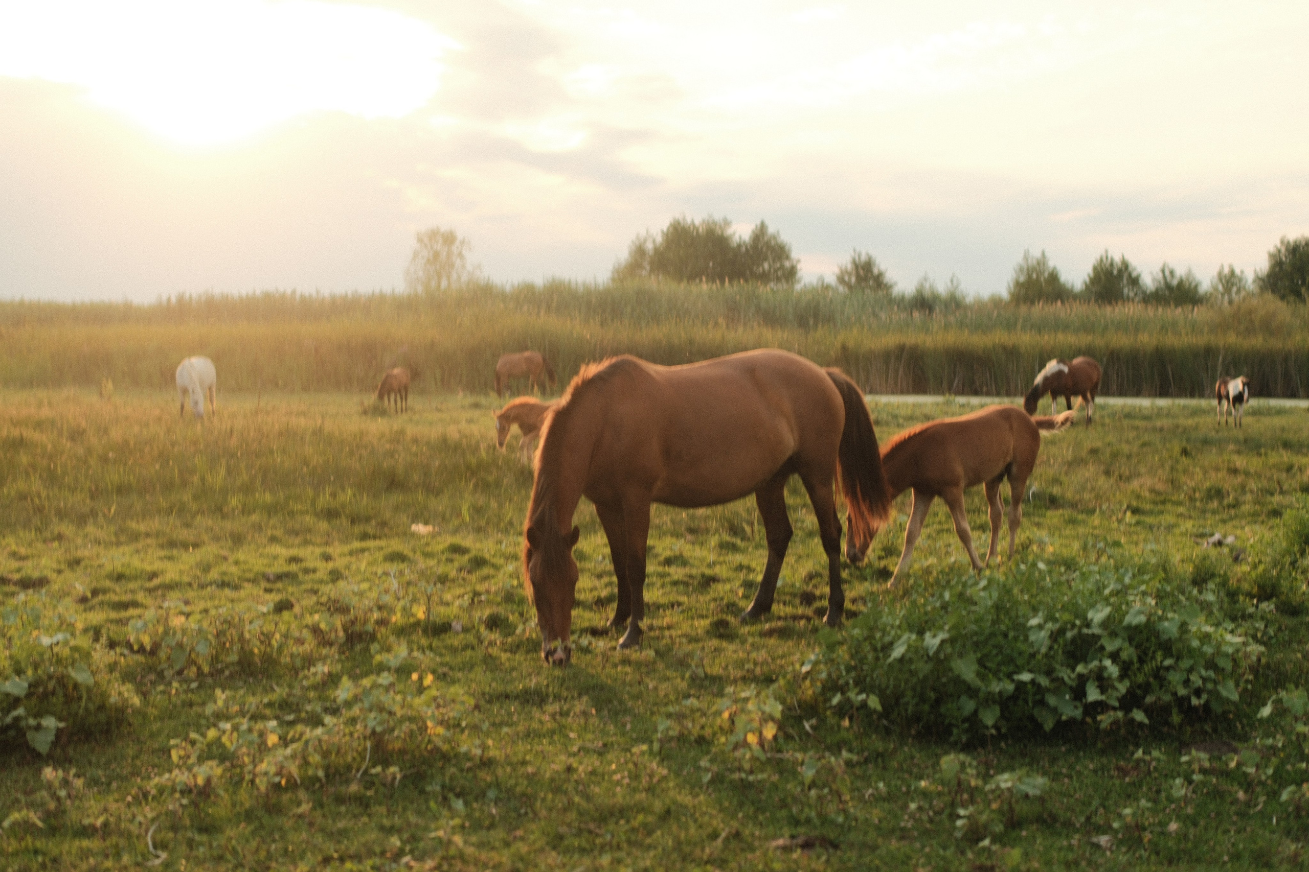 Внезапная фотосессия. Фотограф/Видеограф из Саратова
