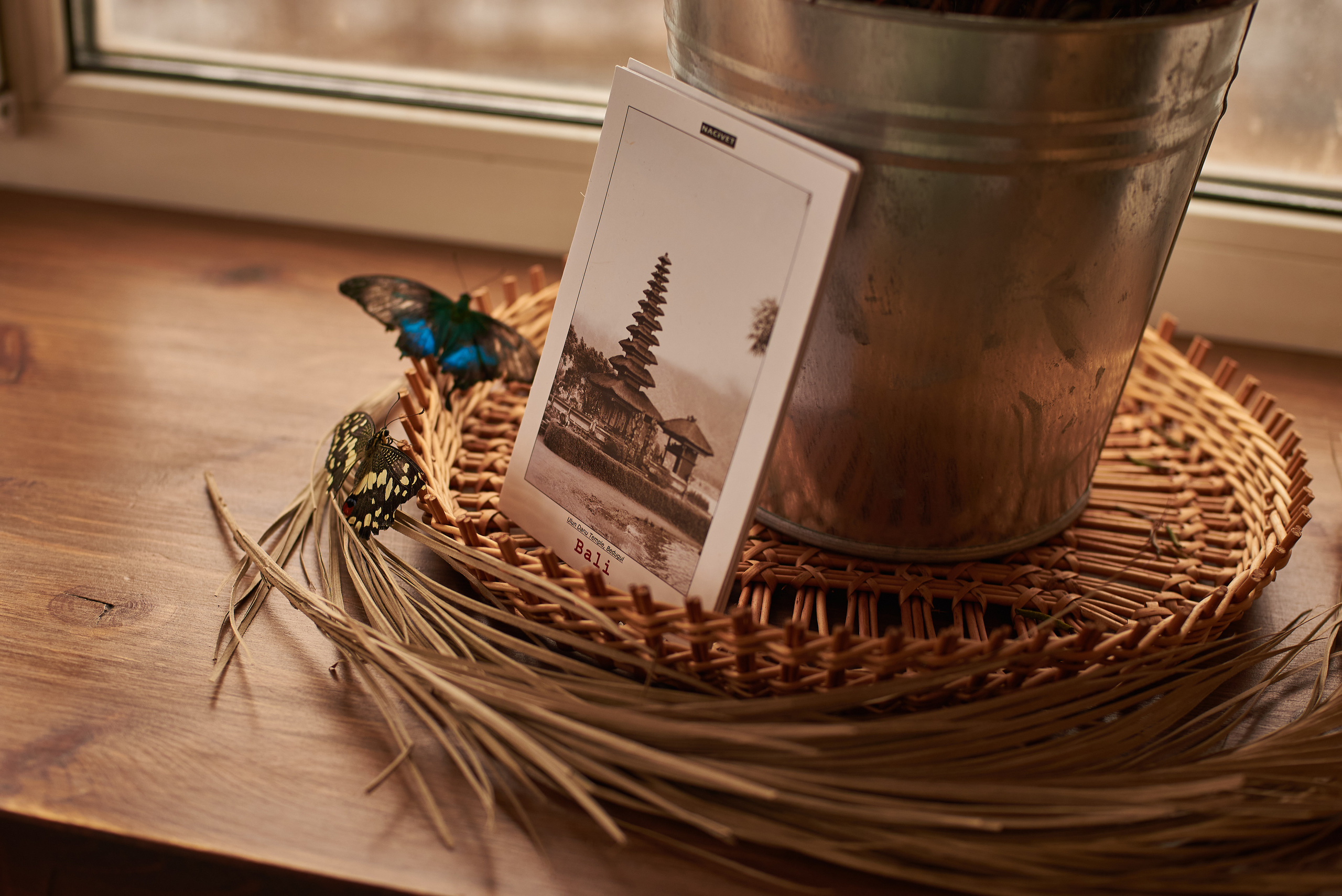 Фотопроет для детей с живыми бабочками в Красноярске. Фотограф в Красноярске Шепелева Мария