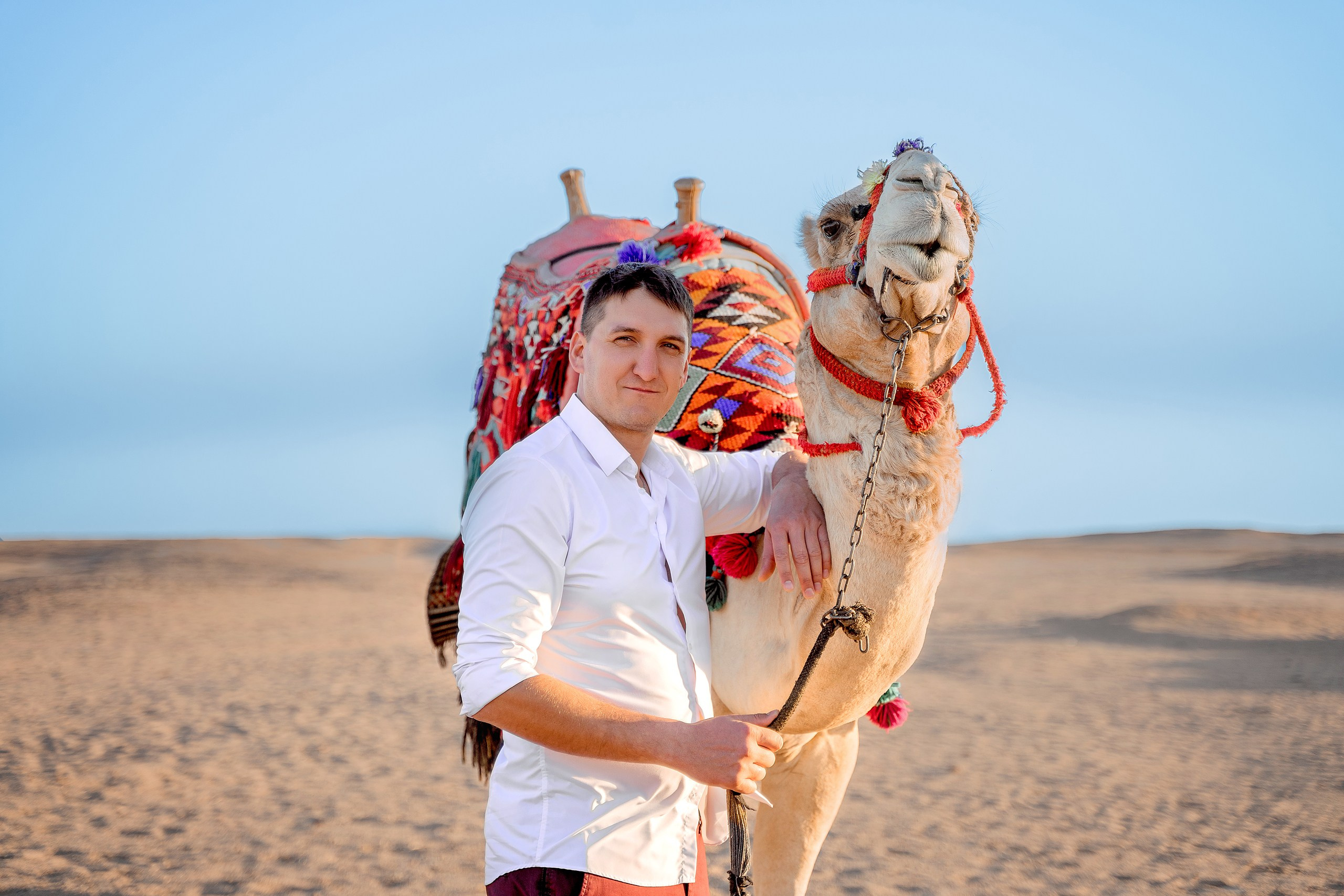 Фотосессия с верблюдом. Фотограф в Египте, Хургаде, Луксоре, Сафаге. Фотограф по всему миру