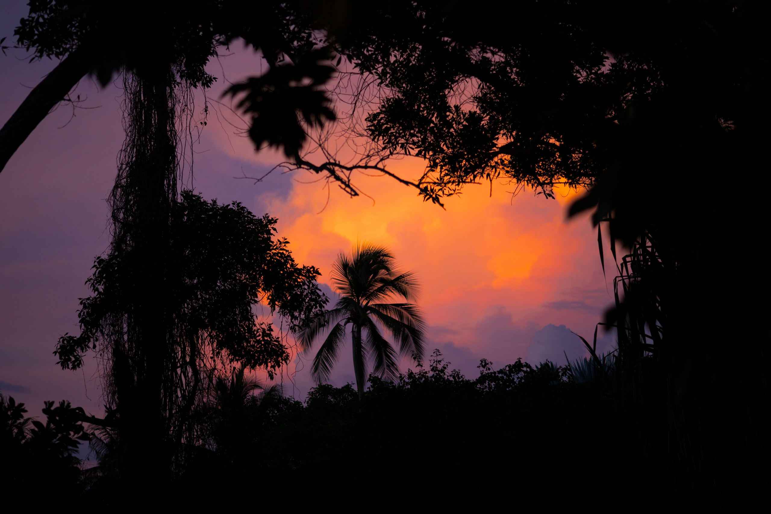 Таиланд. Фотограф Даша Омельченко