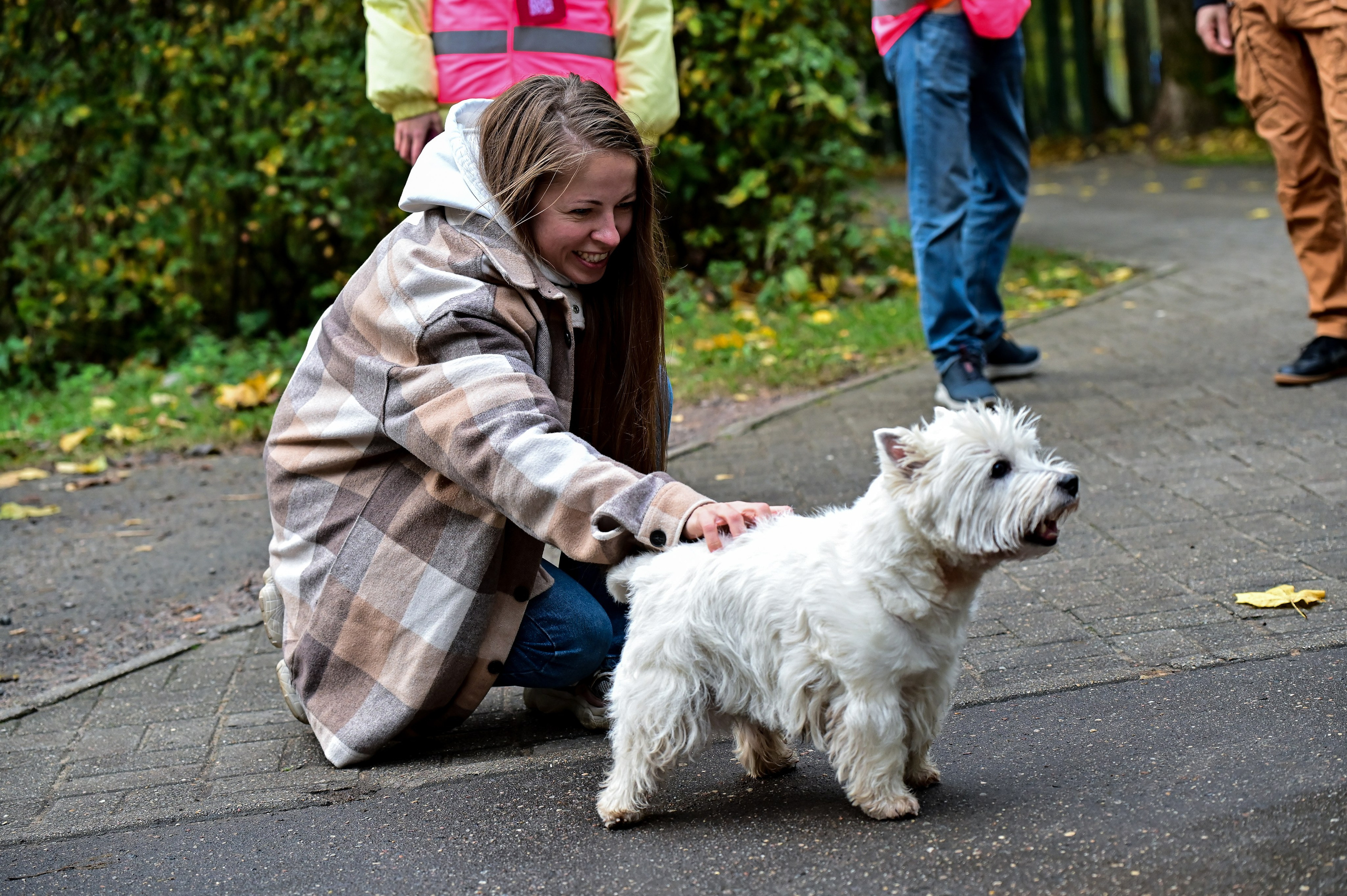 S95 Кузьминки Предмарафонский (12.10.24). Фотограф | Ирина Гамзинова | Москва