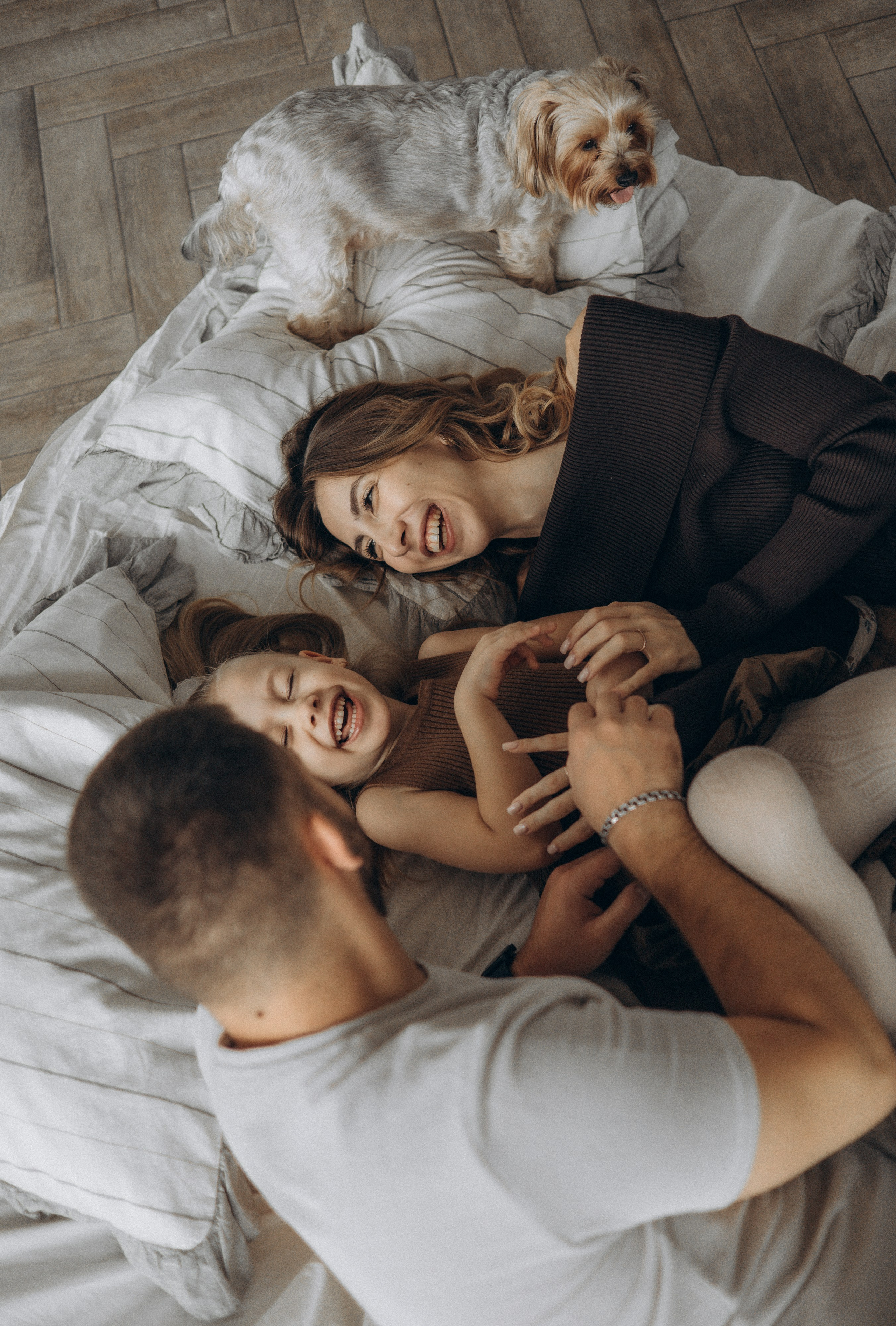 Портфолио. Главная