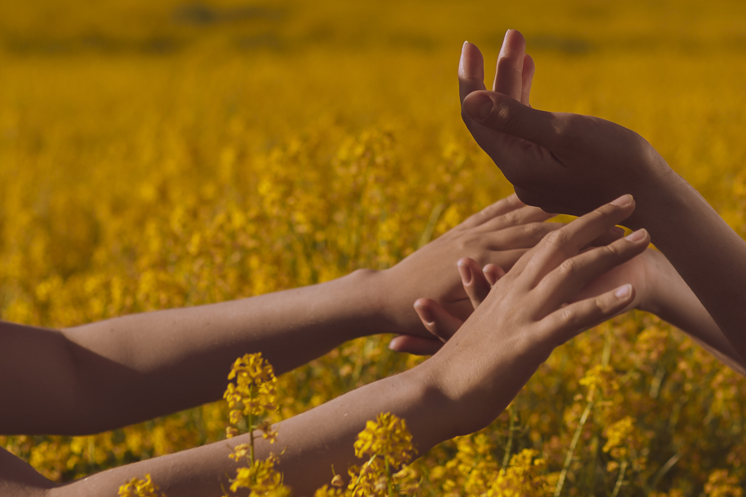 Фотосессия с детьми в цветущих полях | Елена, Приозерск. Женский, семейный и контент фотограф Ирина Ульянова в Санкт-Петербурге