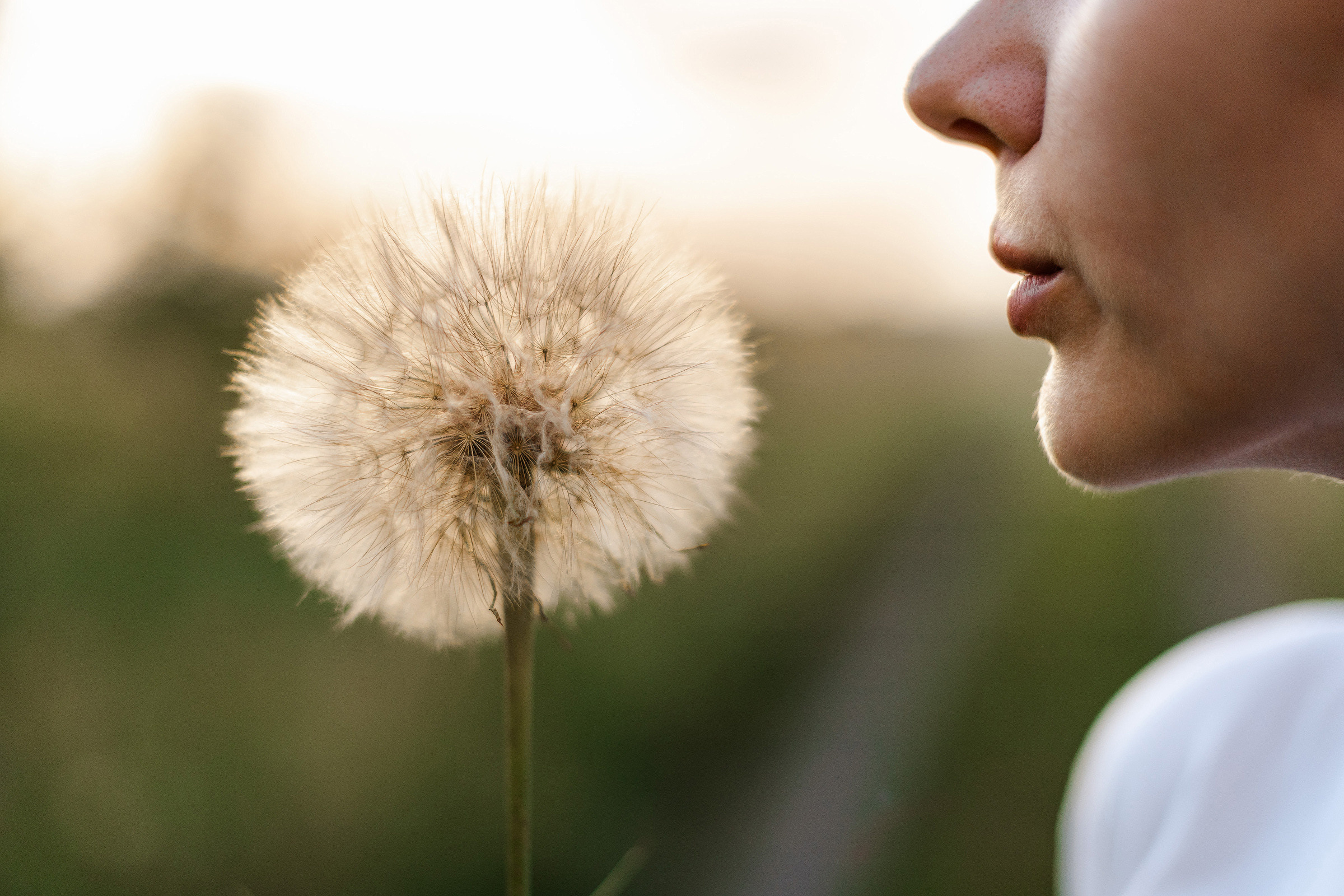Свадебный и рекламный фотограф в Пензе Денис Деревянко