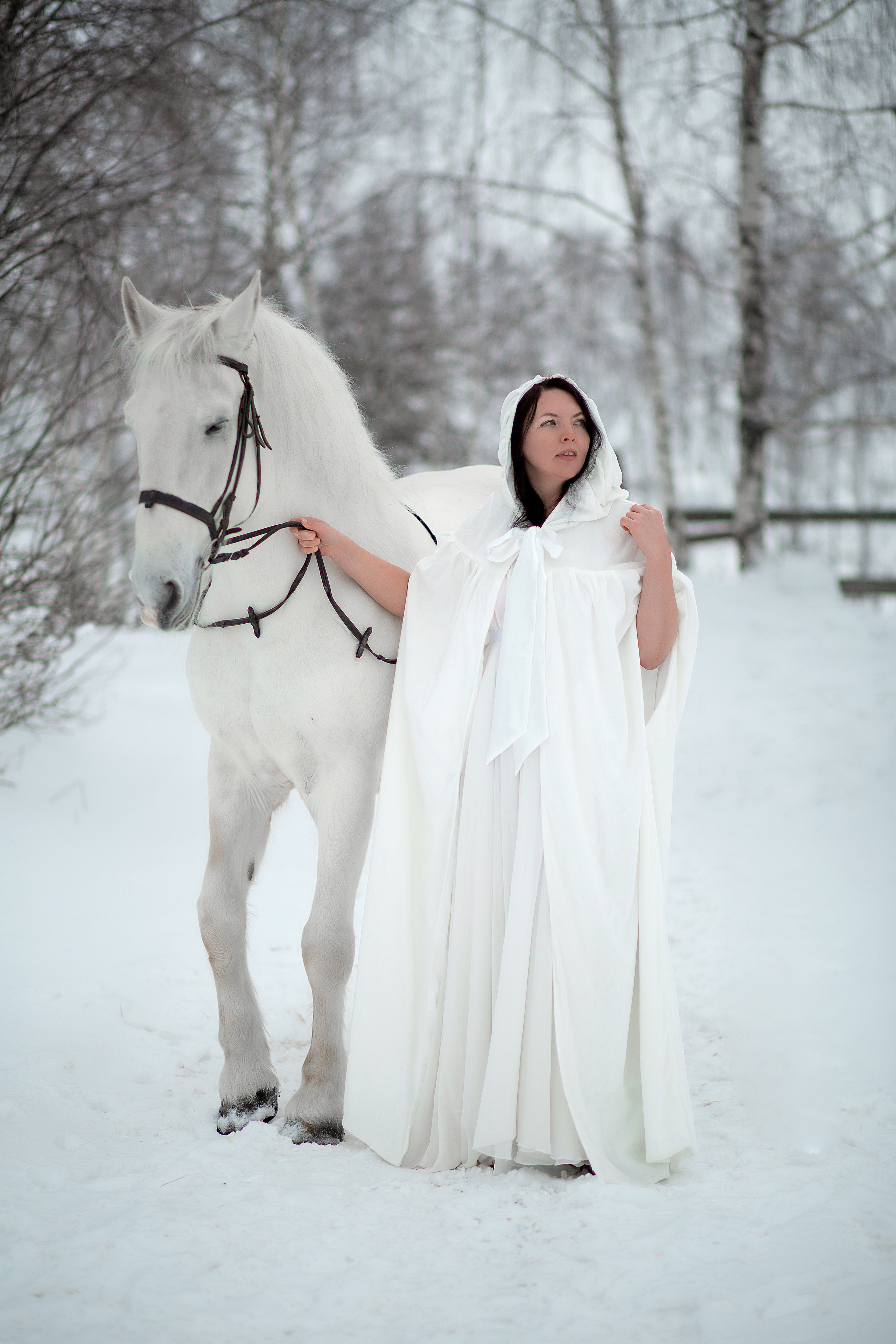 Светлана и Воробей 30.01.22. Фотосессия с лошадьми в Нижнем Новгороде