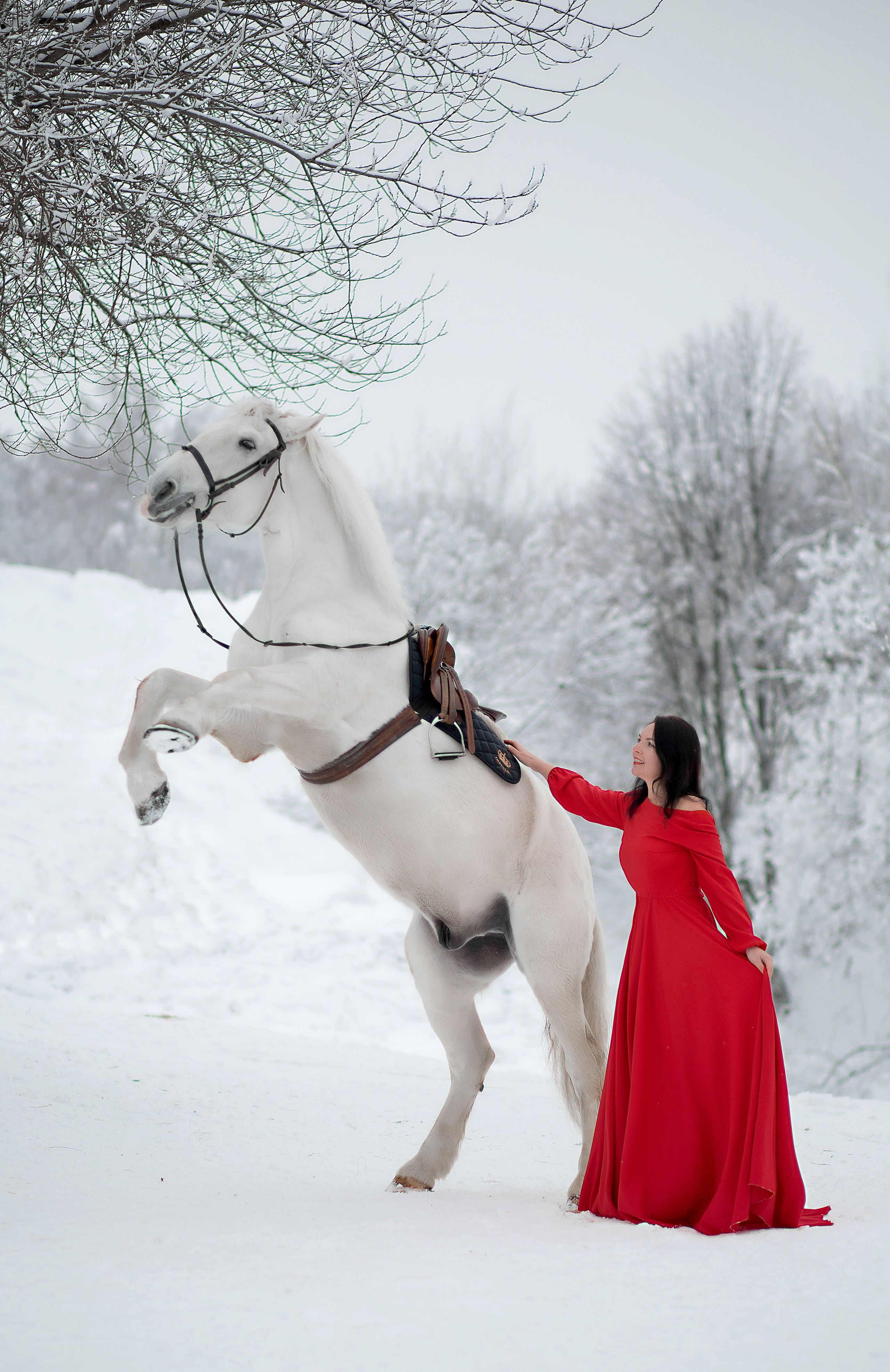 Светлана и Воробей 30.01.22. Фотосессия с лошадьми в Нижнем Новгороде