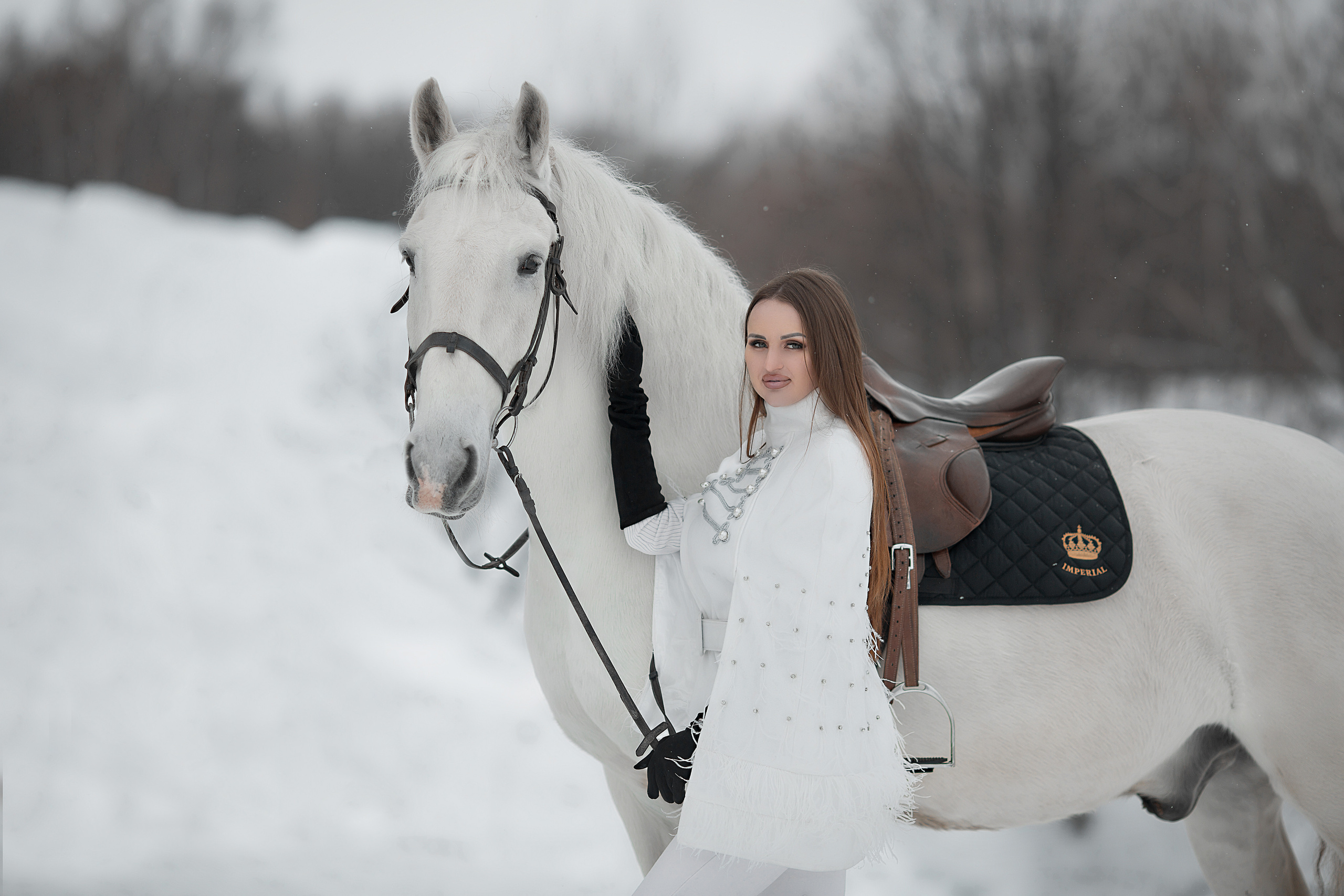 Мария и Воробей 22.01.22. Фотосессия с лошадьми в Нижнем Новгороде