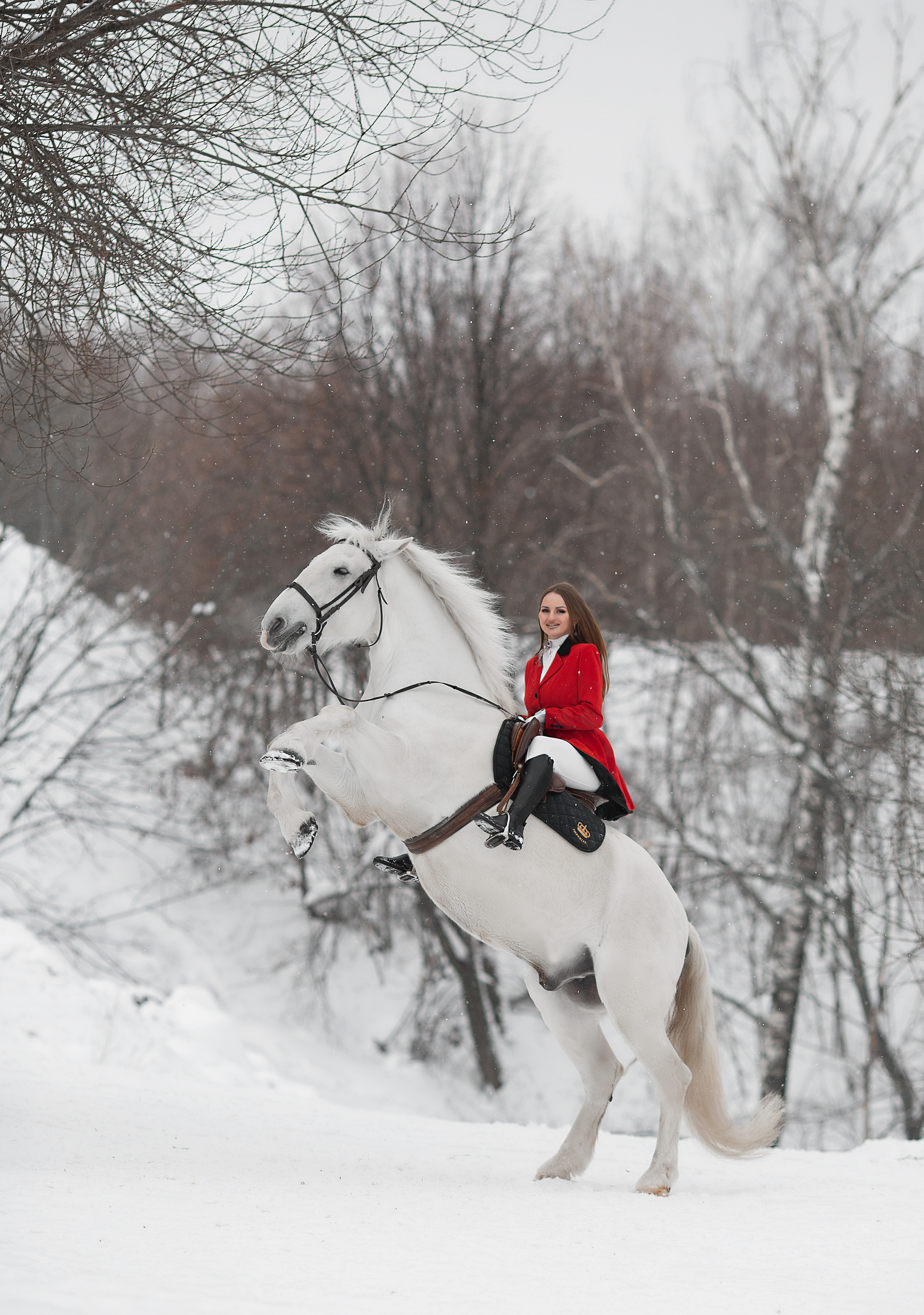 Мария и Воробей 22.01.22. Фотосессия с лошадьми в Нижнем Новгороде