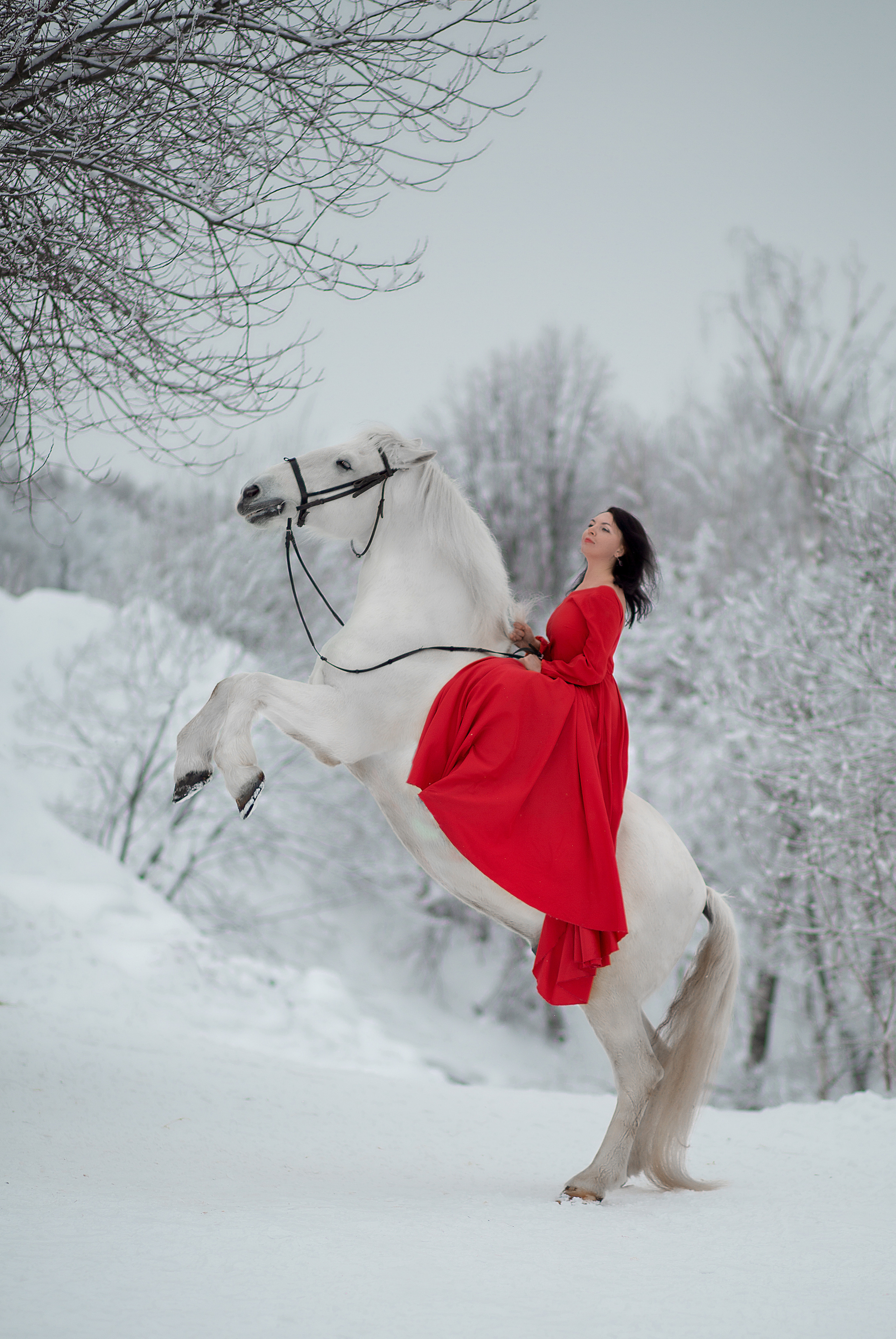 Светлана и Воробей 30.01.22. Фотосессия с лошадьми в Нижнем Новгороде