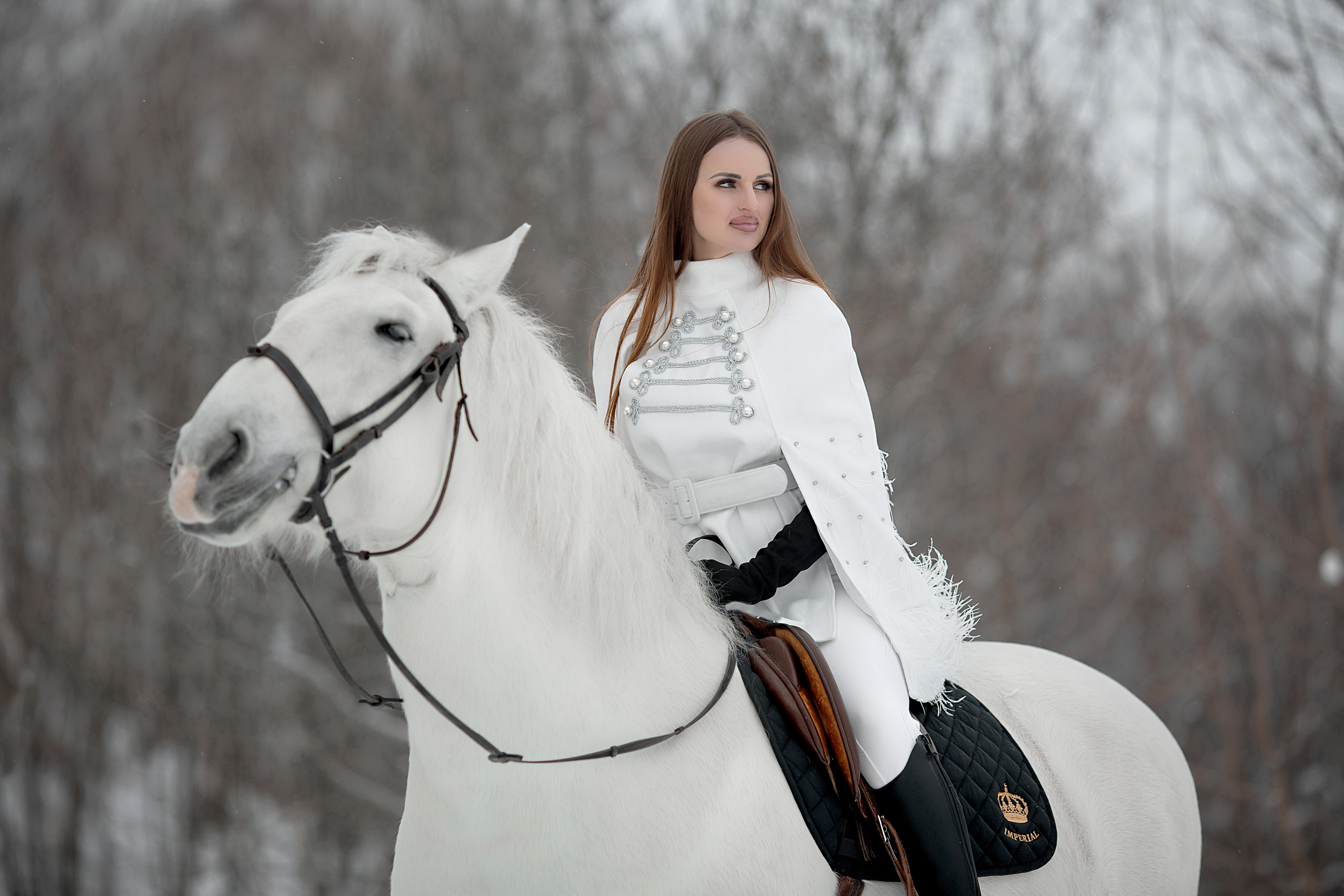 Мария и Воробей 22.01.22. Фотосессия с лошадьми в Нижнем Новгороде