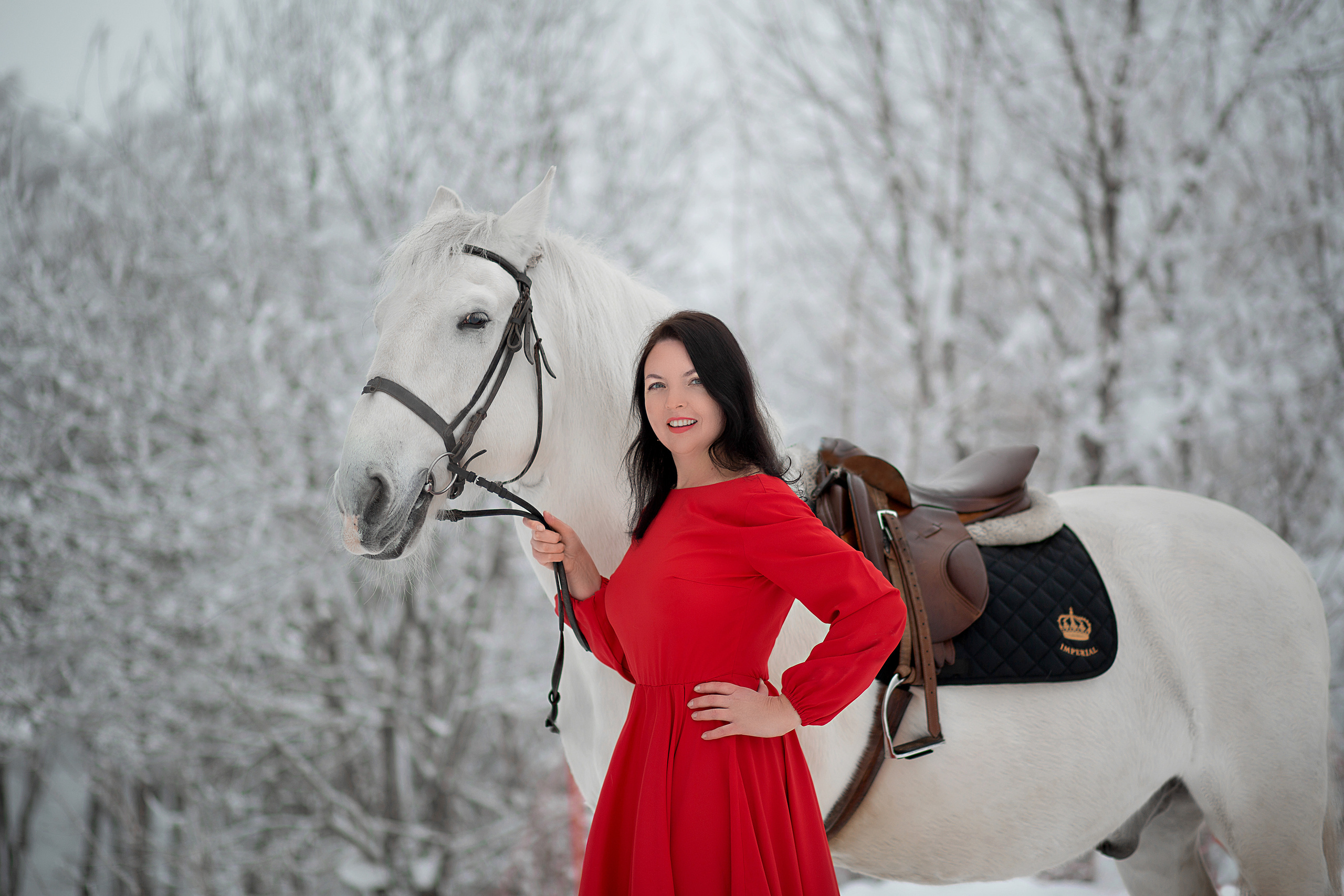 Светлана и Воробей 30.01.22. Фотосессия с лошадьми в Нижнем Новгороде