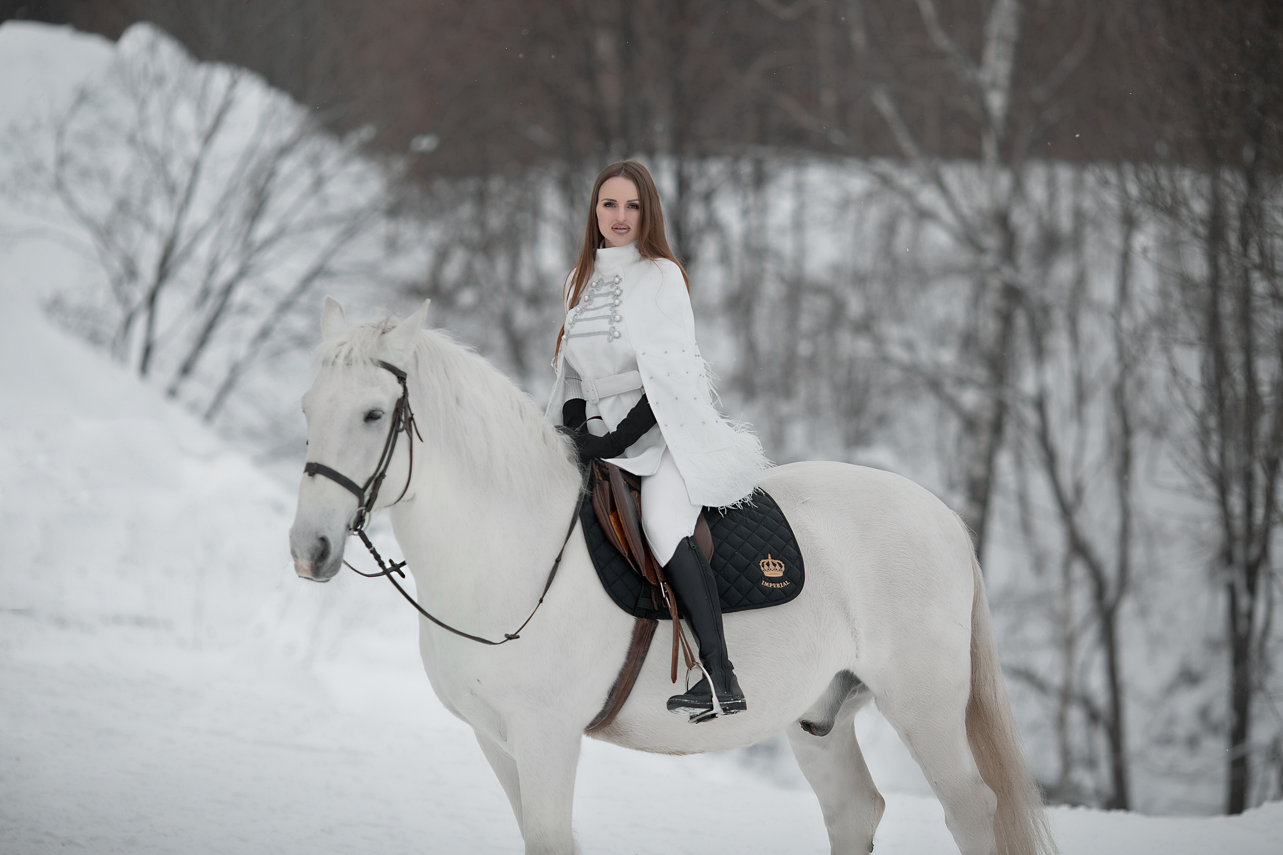Мария и Воробей 22.01.22. Фотосессия с лошадьми в Нижнем Новгороде