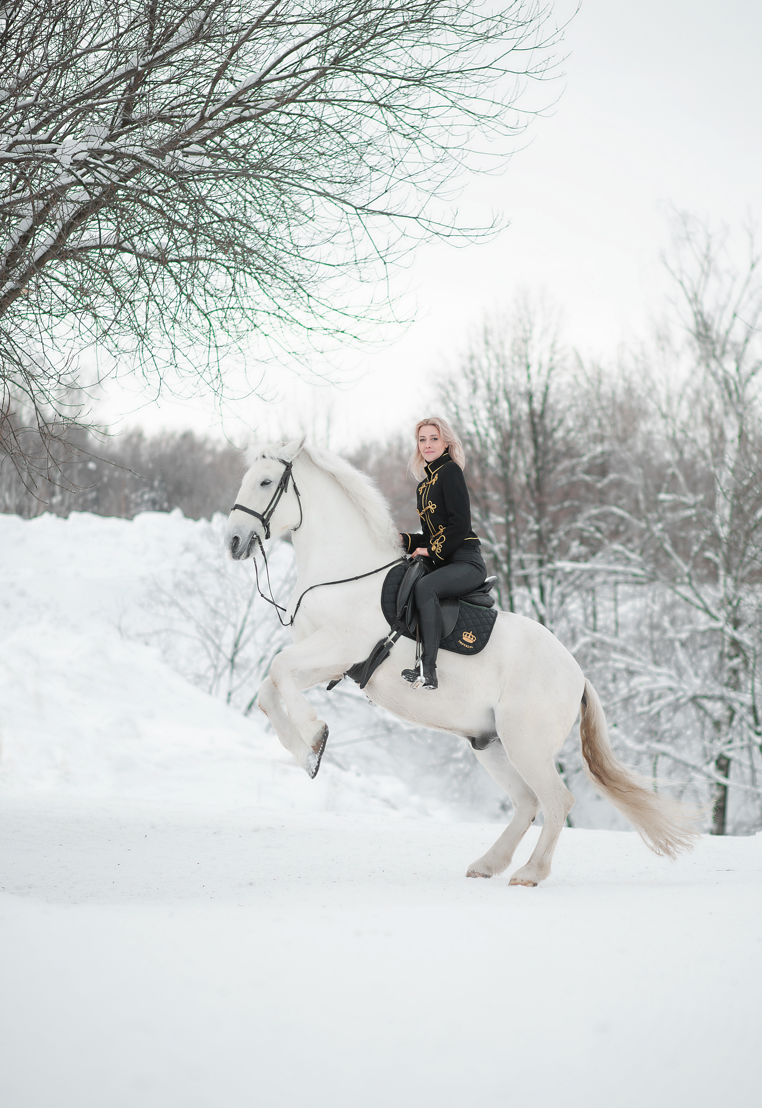 Фотосессия Анны и Воробья 09.01.22. Фотосессия с лошадьми в Нижнем Новгороде