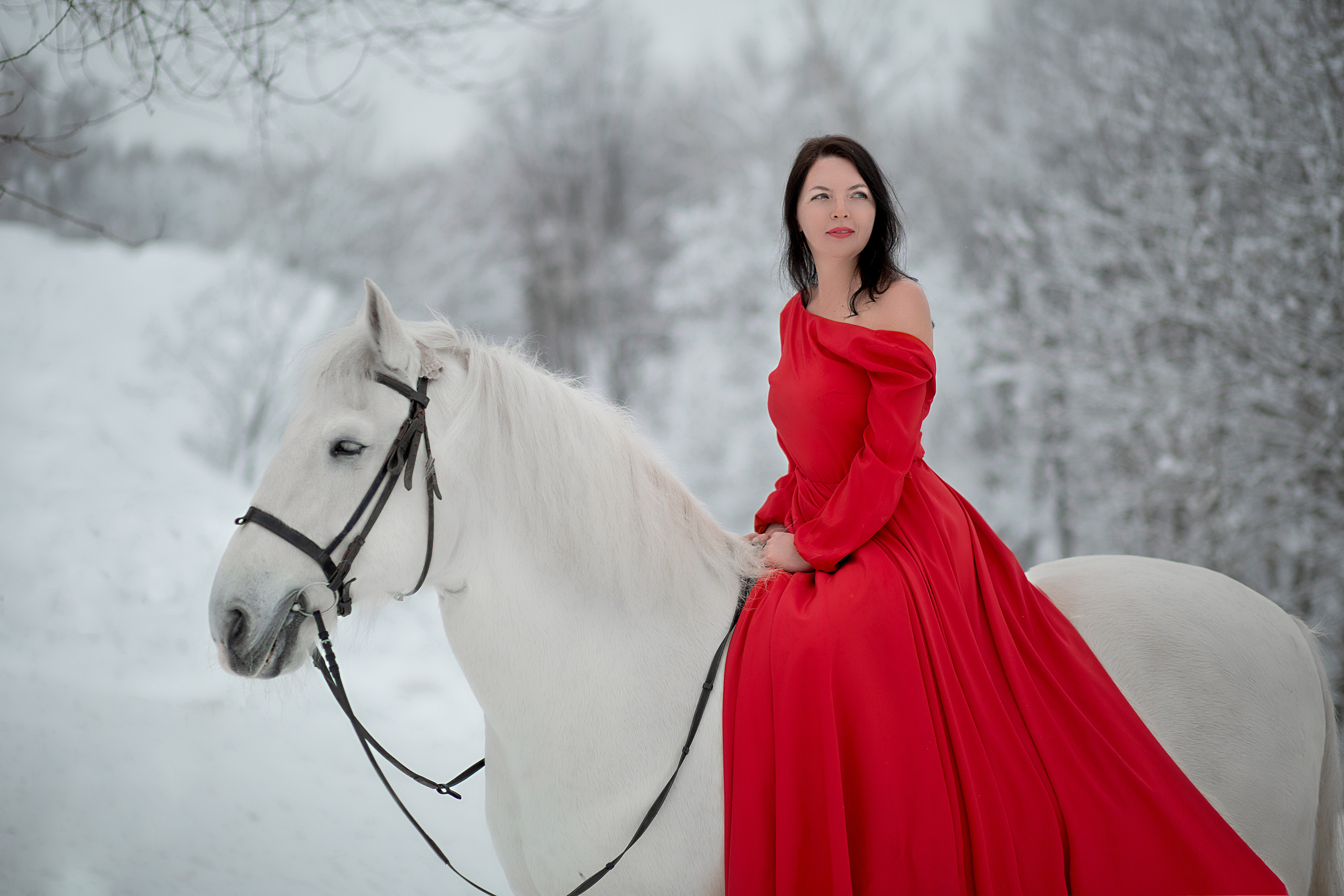 Светлана и Воробей 30.01.22. Фотосессия с лошадьми в Нижнем Новгороде