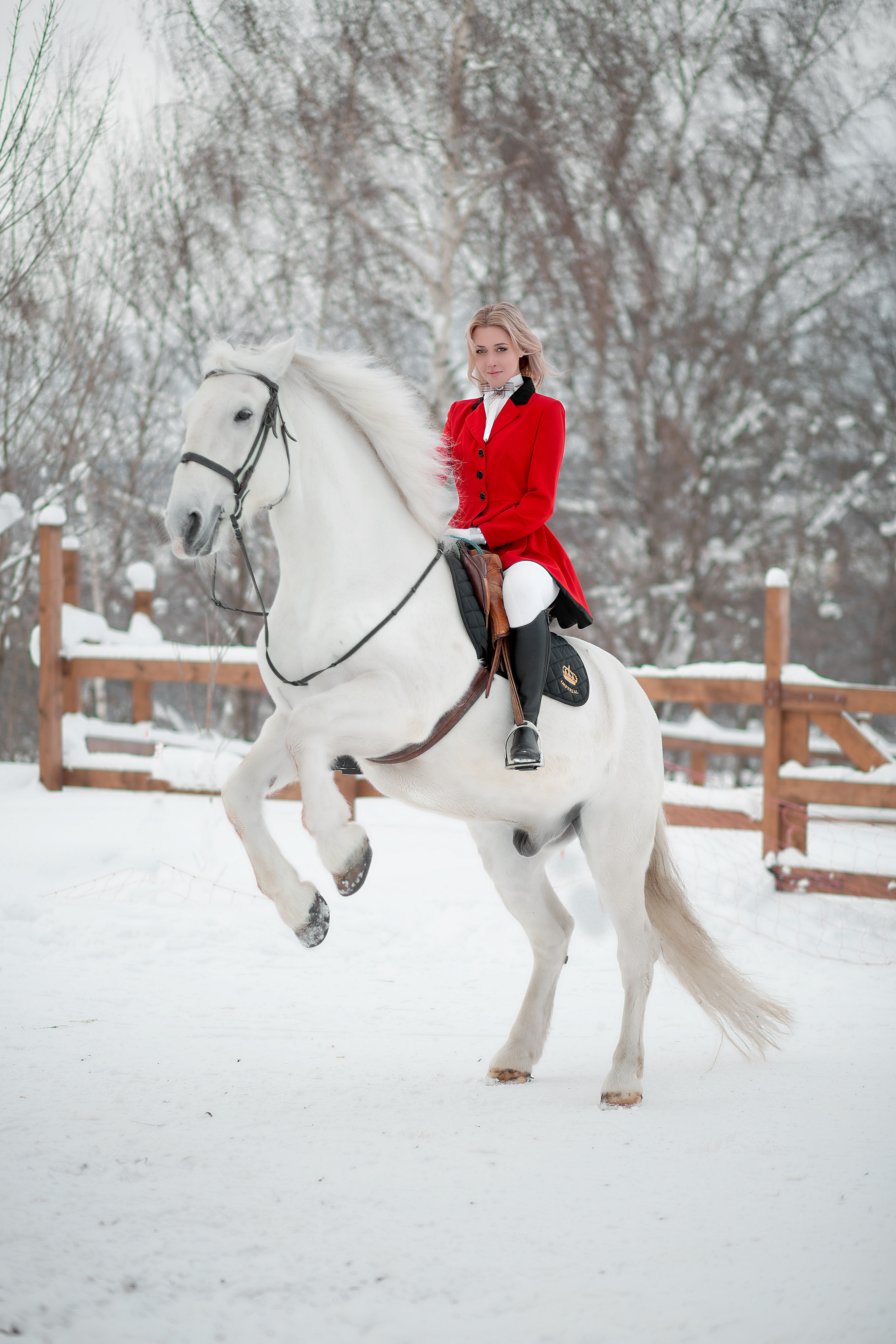 Фотосессия Анны и Воробья 09.01.22. Фотосессия с лошадьми в Нижнем Новгороде