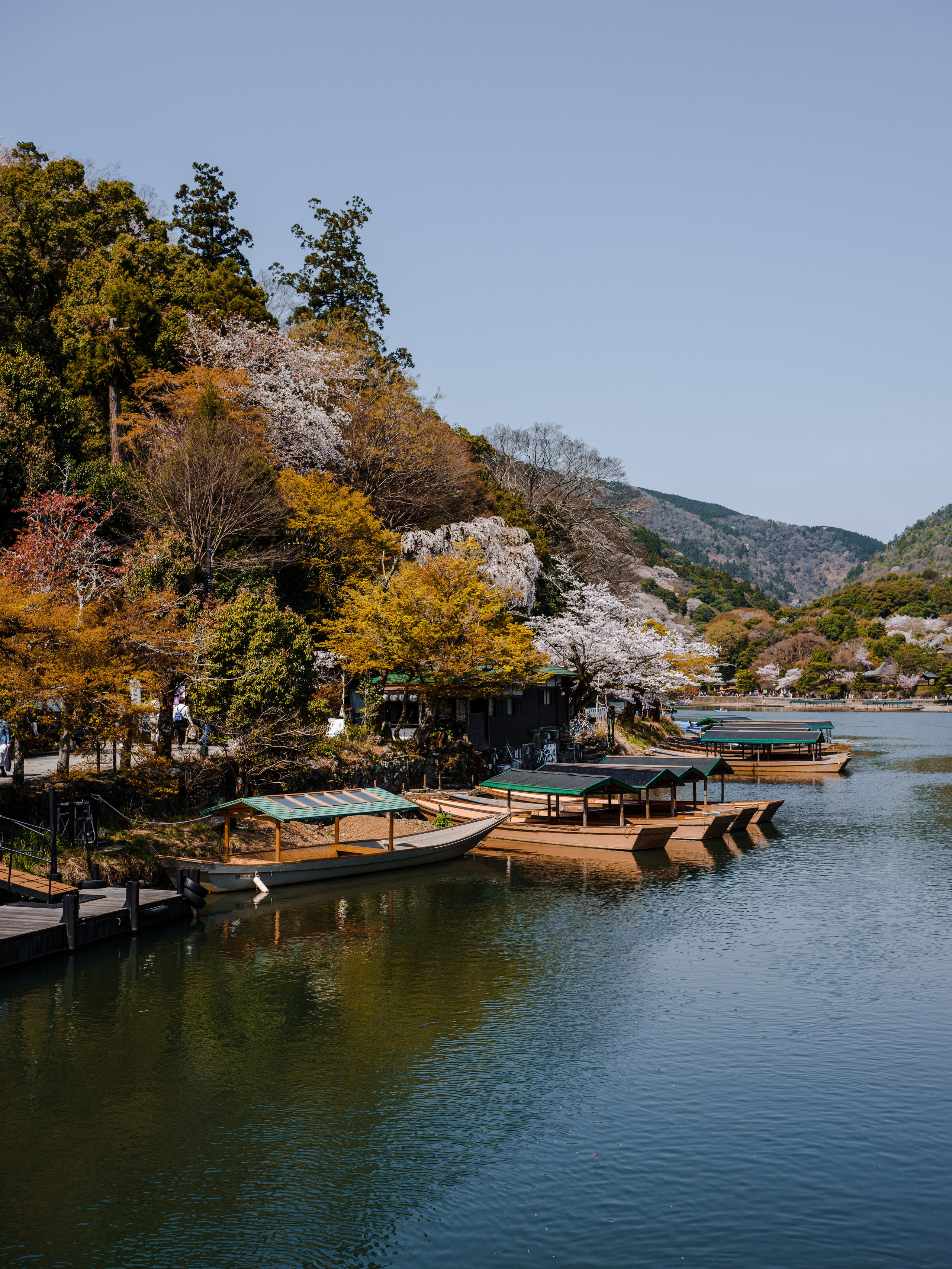 Невероятная Япония: Сезон Момидзе и Осенние Клены. Свадебный и Студийный фотограф из Казахстана Артем Орлянский
