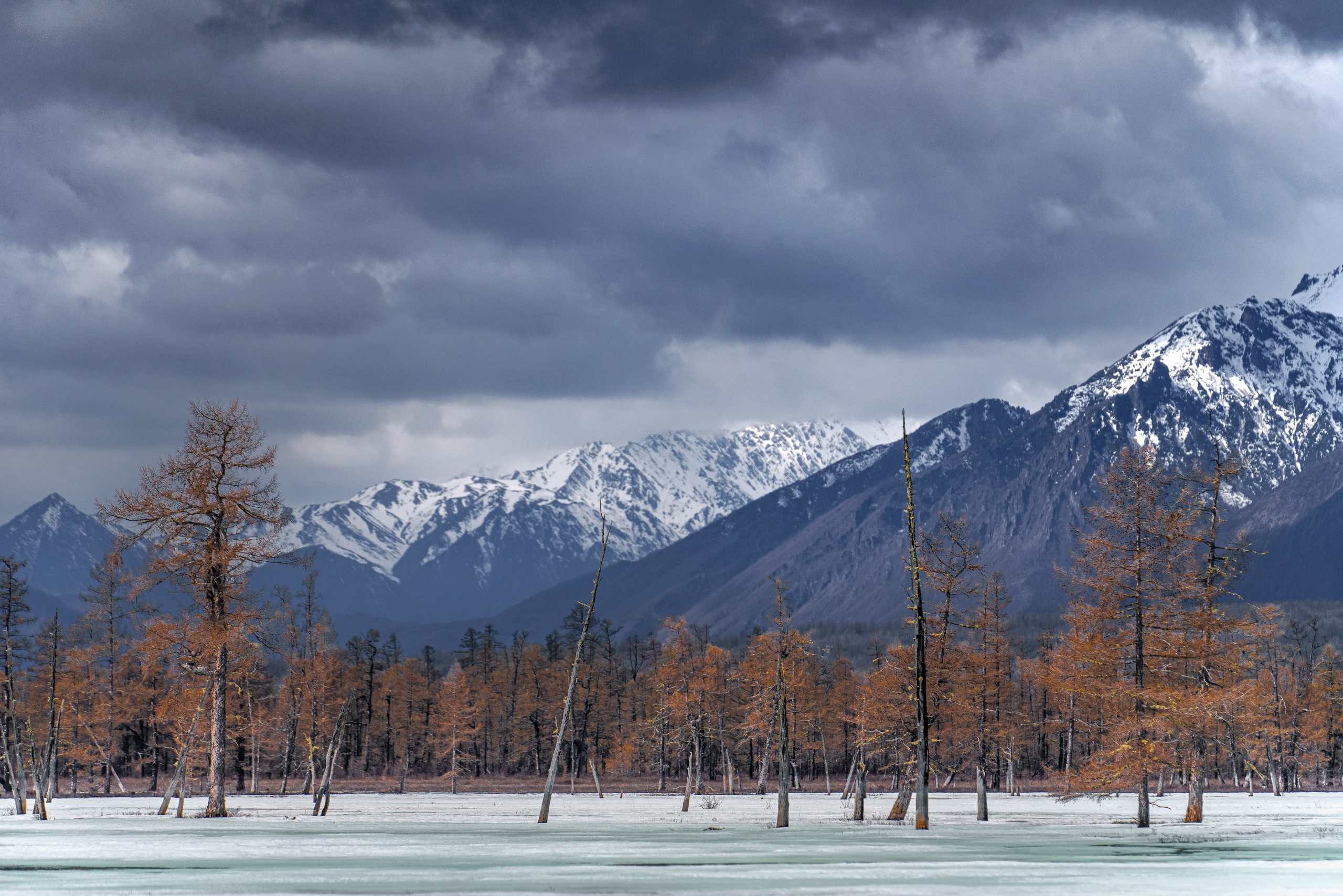 Хребет Кодар