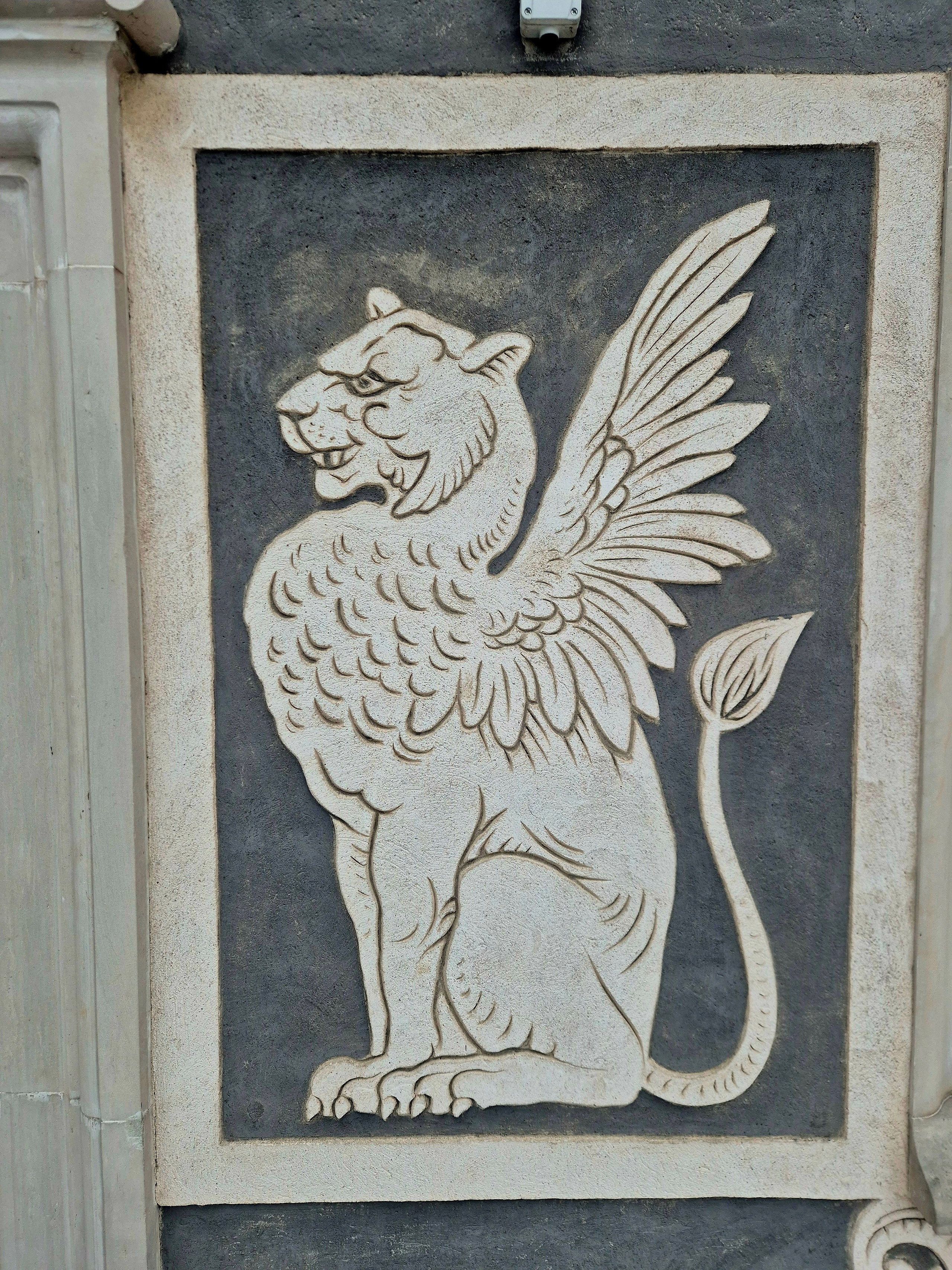 Надменно-смеющаяся дикая Котя