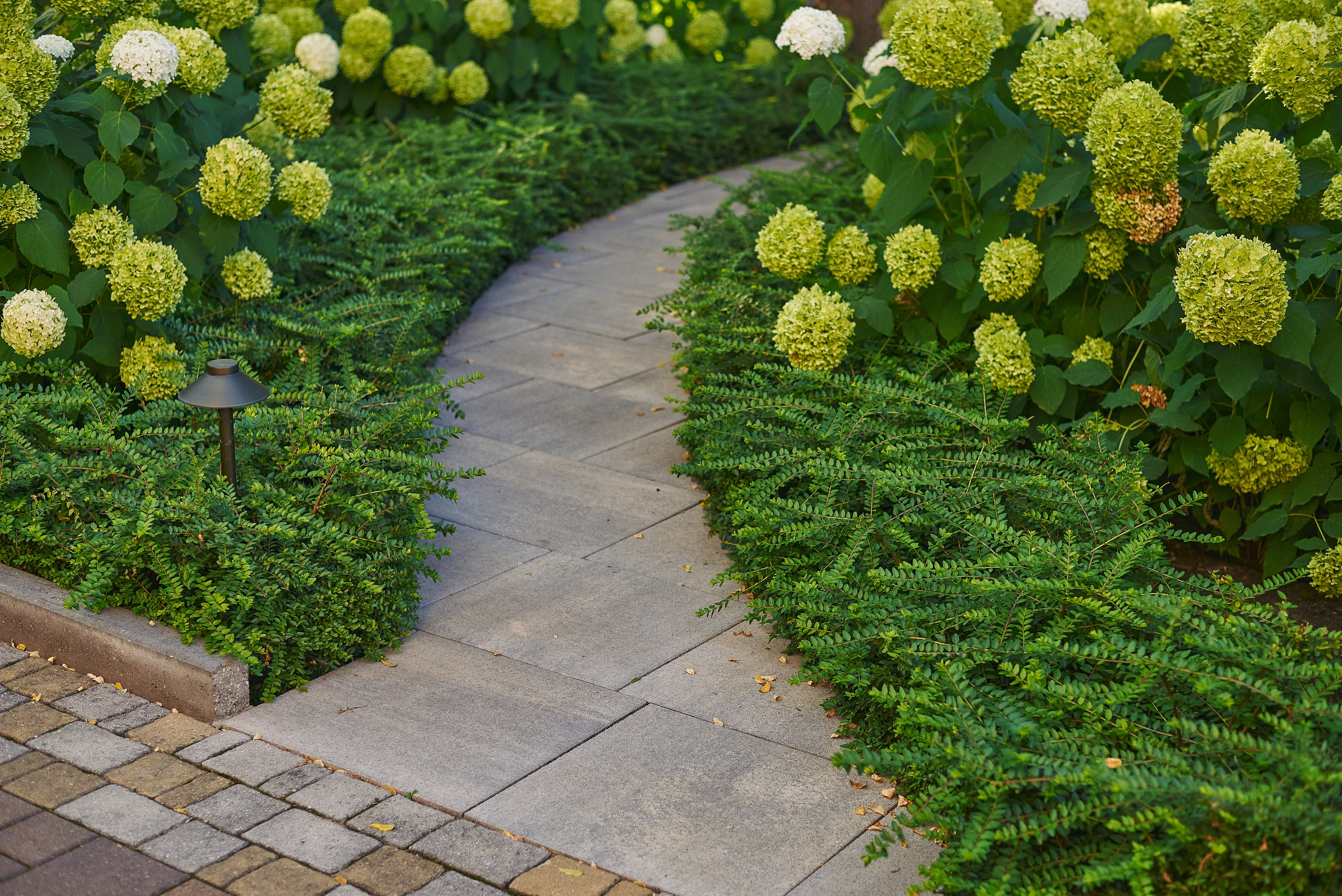 Тротуарная плитка. Константин Кордонский | Интерьерный и food-фотограф в Кисловодске и КМВ