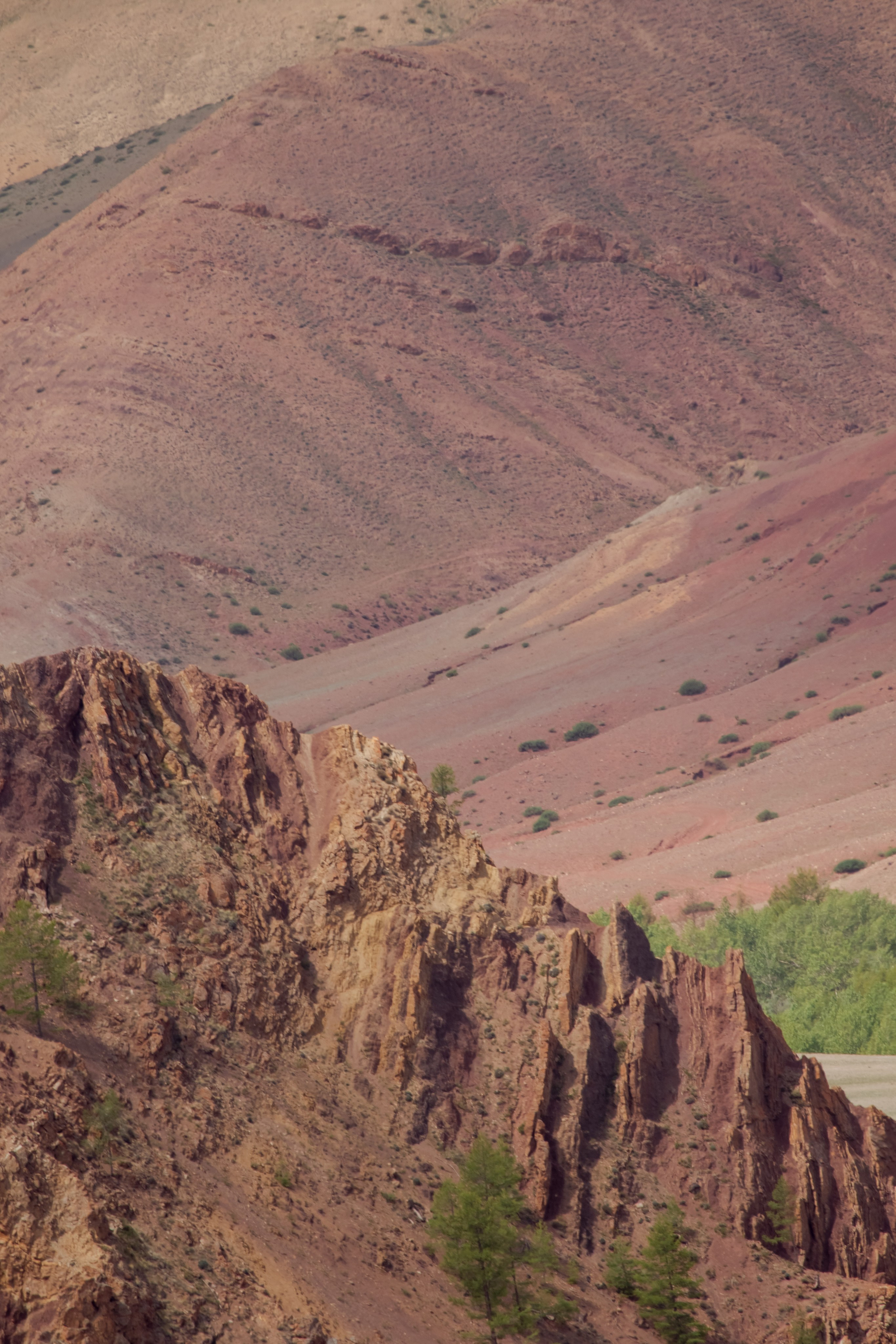 Горный Алтай. Фотограф Кирилл Мешков Кемерово