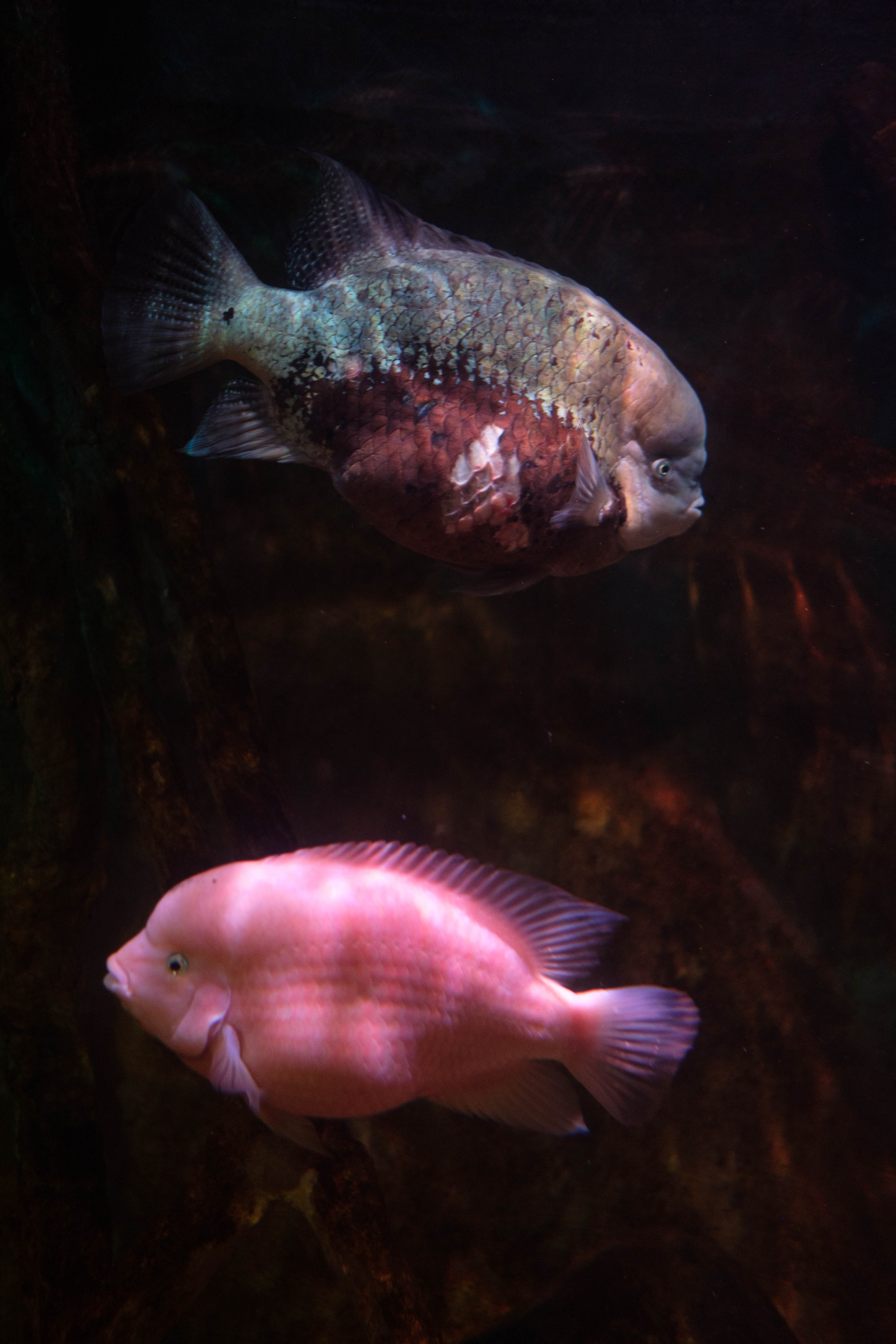 Przepraszam/Sorry. Photographer, Documentary and Art