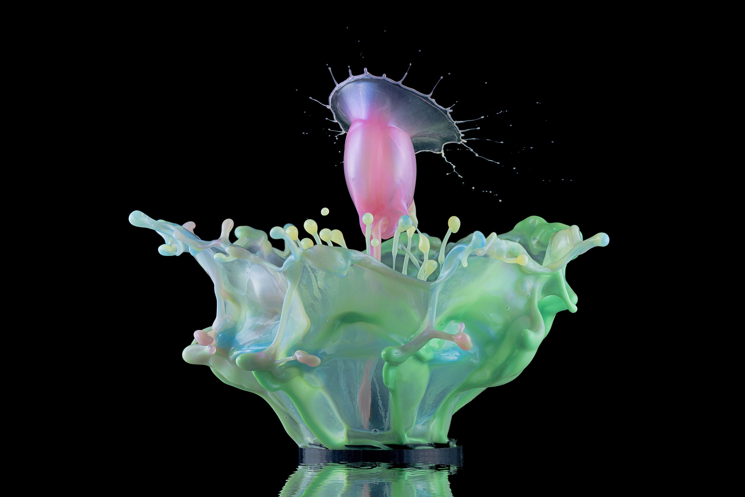 Скульптуры из воды Сергея Толмачева