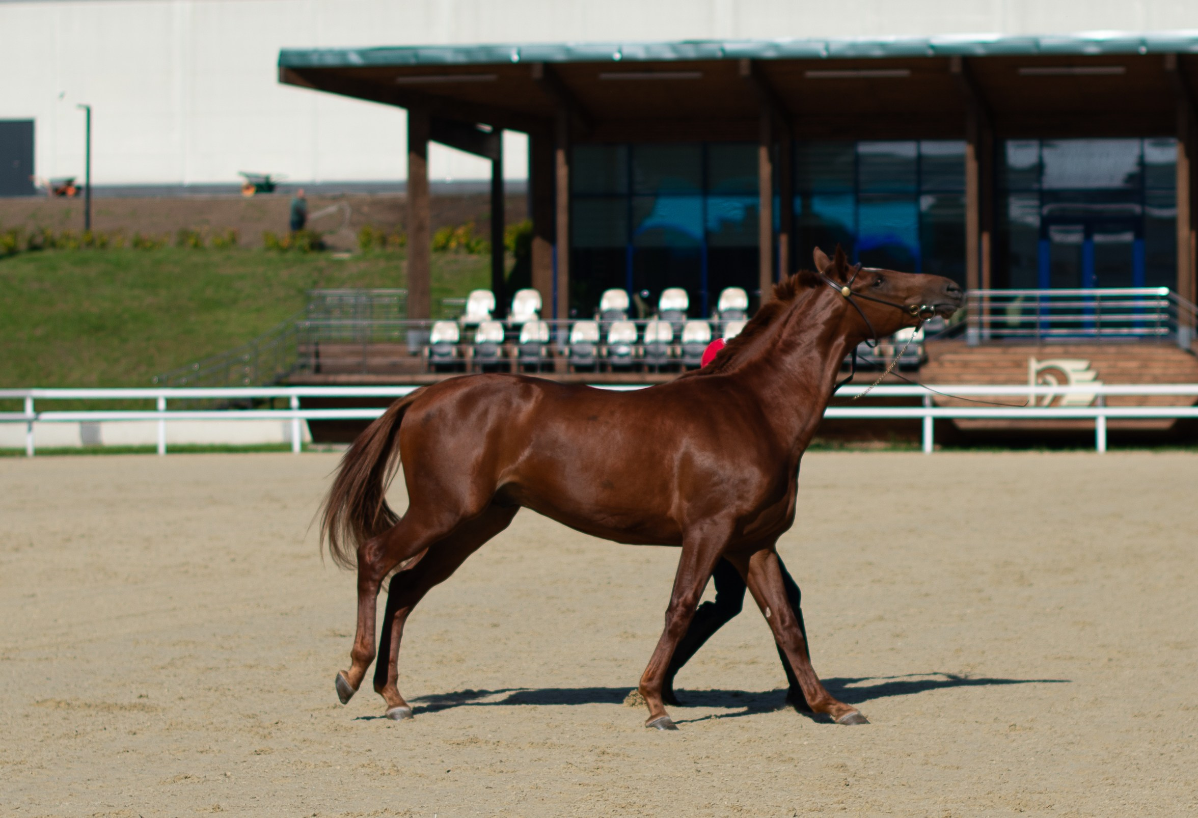 Блог • Съёмки • События • полезное для Клиентов • Репортажный фотограф Виктория Раджевна. Victoria Radjevna Репортажный Фотограф — Видеограф Москва • Санкт-Петербург