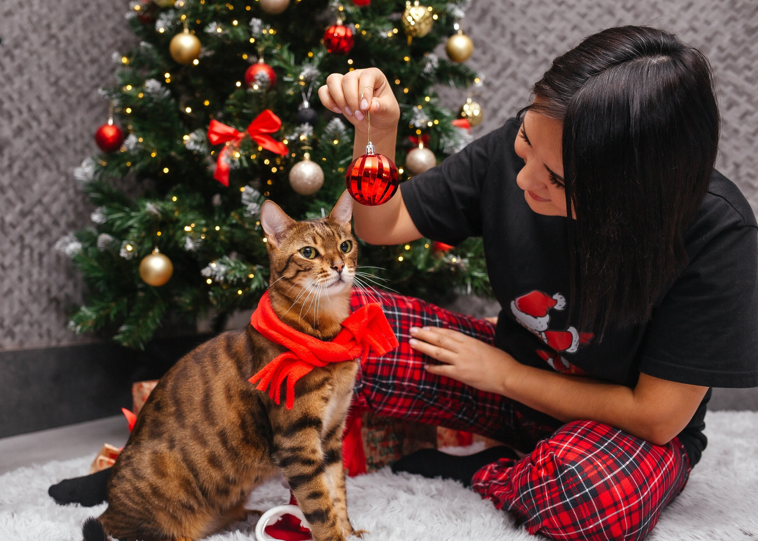 Новый год. Фотограф Сочи Адлер. Солькаева Анастасия