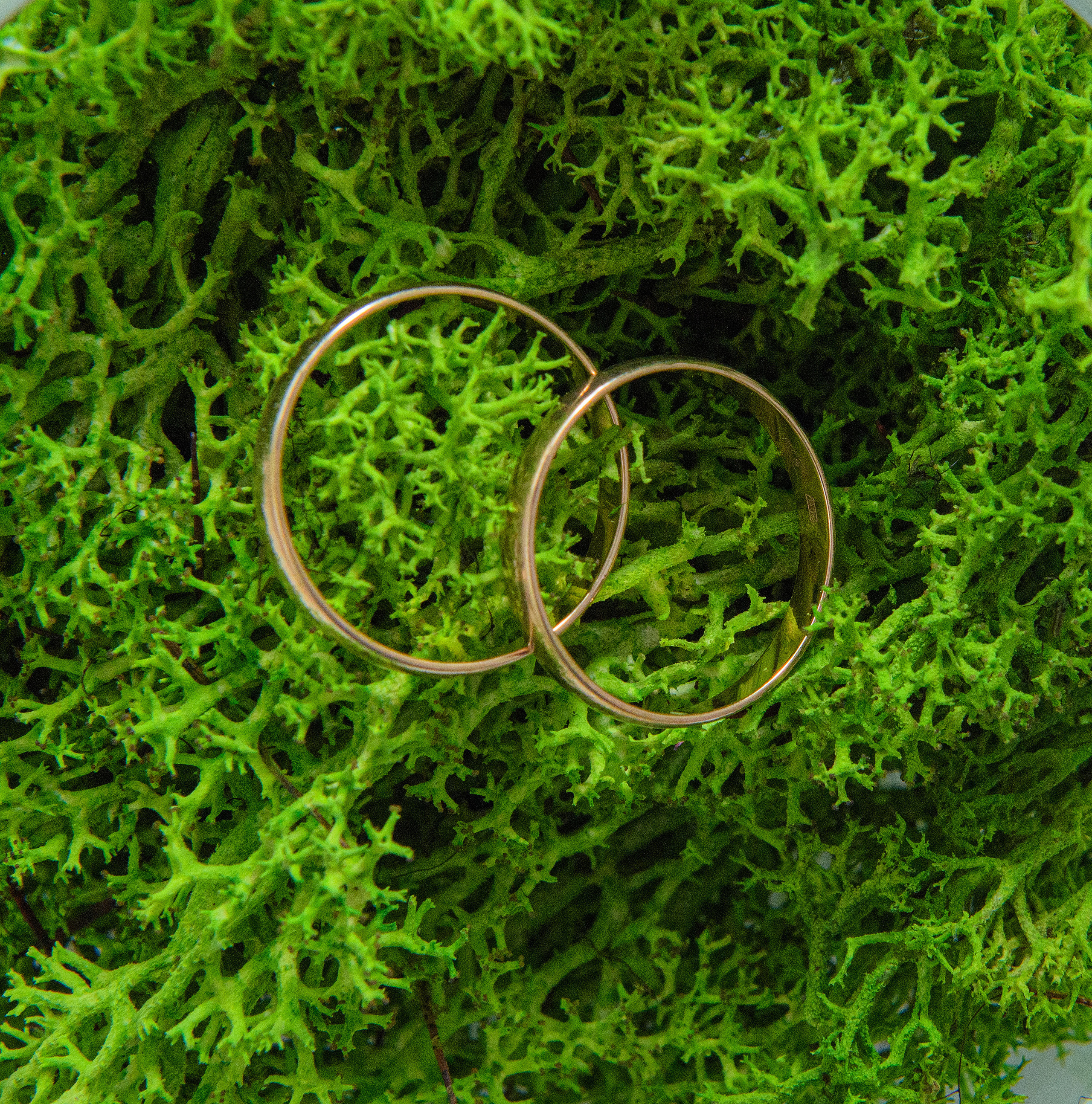 Алексей и Анастасия. Семейный и свадебный фотограф во Владивостоке