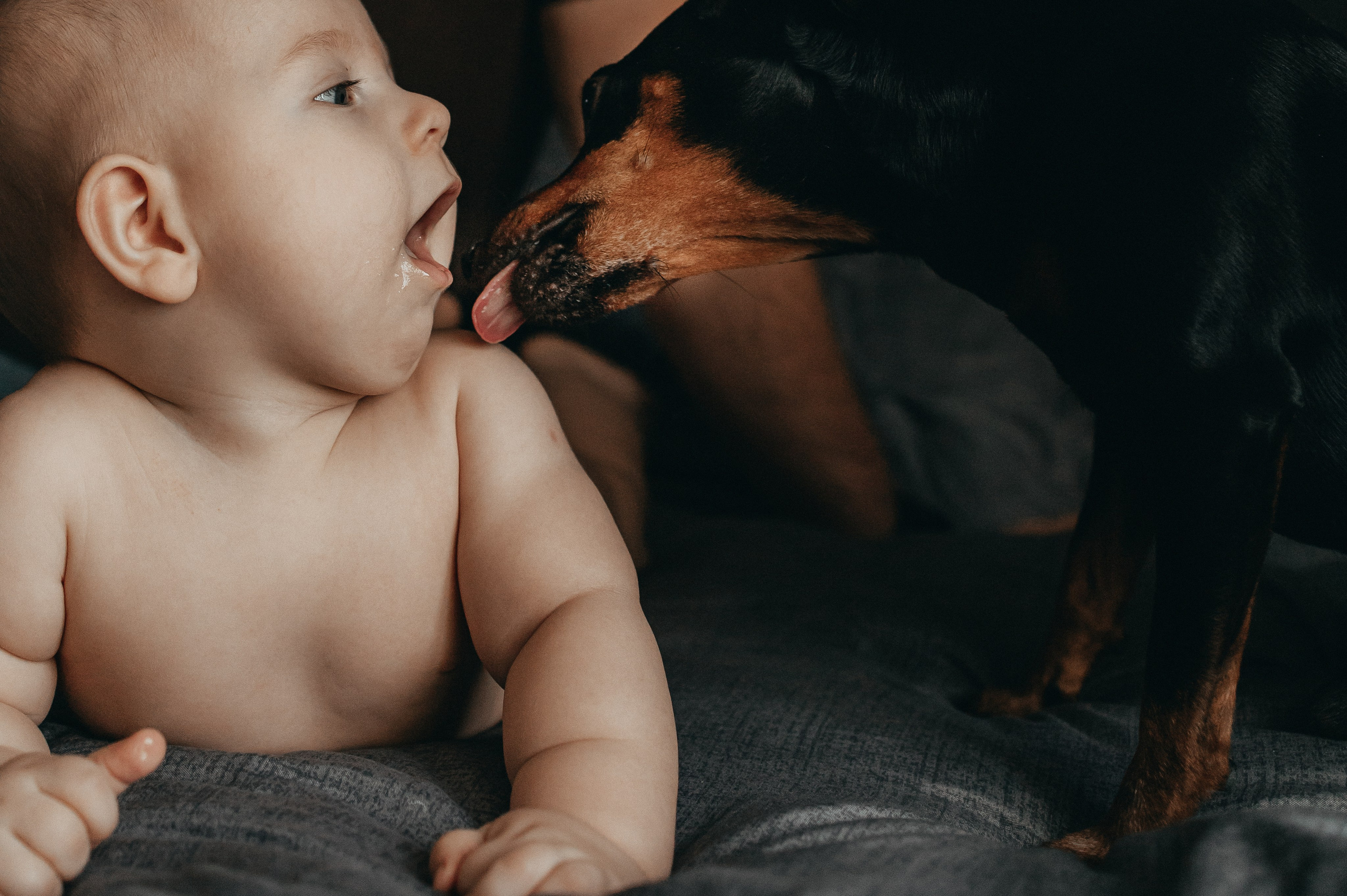 Семейный фотограф в Москве, Щелково, Фрязино _ Виктория Степанова