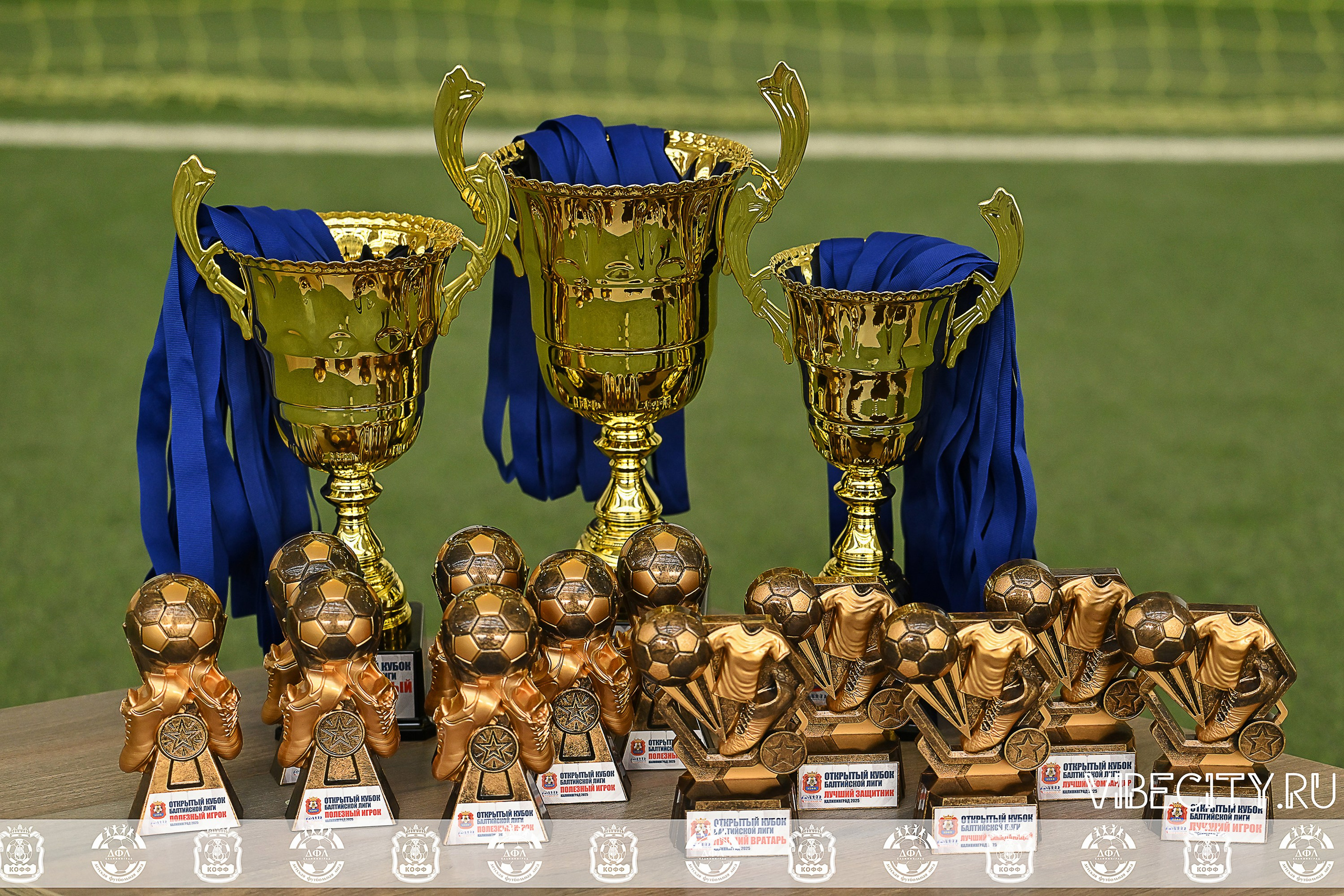 КУБОК БАЛТИЙСКОЙ ЛИГИ ПО МИНИ-ФУТБОЛУ U9 ЗЛ. VIBECITY.RU Вайб Сити Ру Фоторепортажи Фотоотчеты Калининград