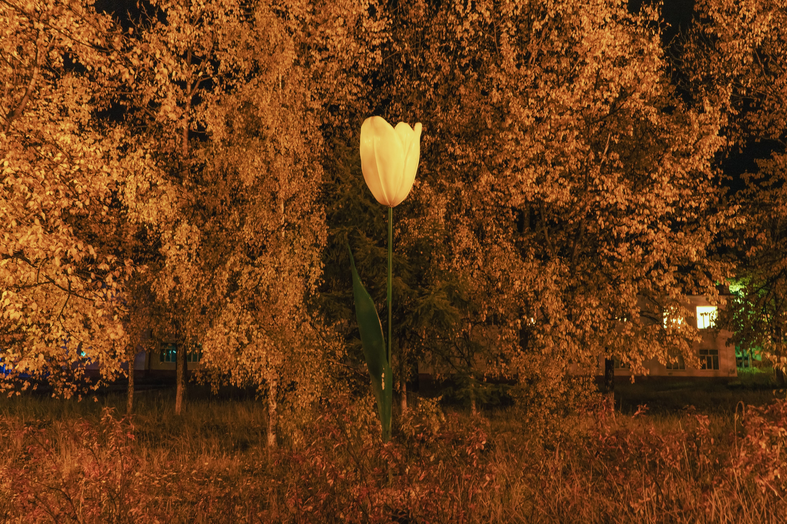 Посёлок Палатка — небольшой посёлок, расположенный на Колымской трассе. Основан в 1930-х годах как лагерный пункт ГУЛАГа, где заключённые добывали олово. Сегодня Палатка — полностью восстановленный на средства местного миллиардера современный посёлок, изобилующий декоративными элементами инфраструктуры.  В 2019 году поселок попал в книгу рекордов России как населенный пункт с наибольшим количеством фонтанов на душу населения.