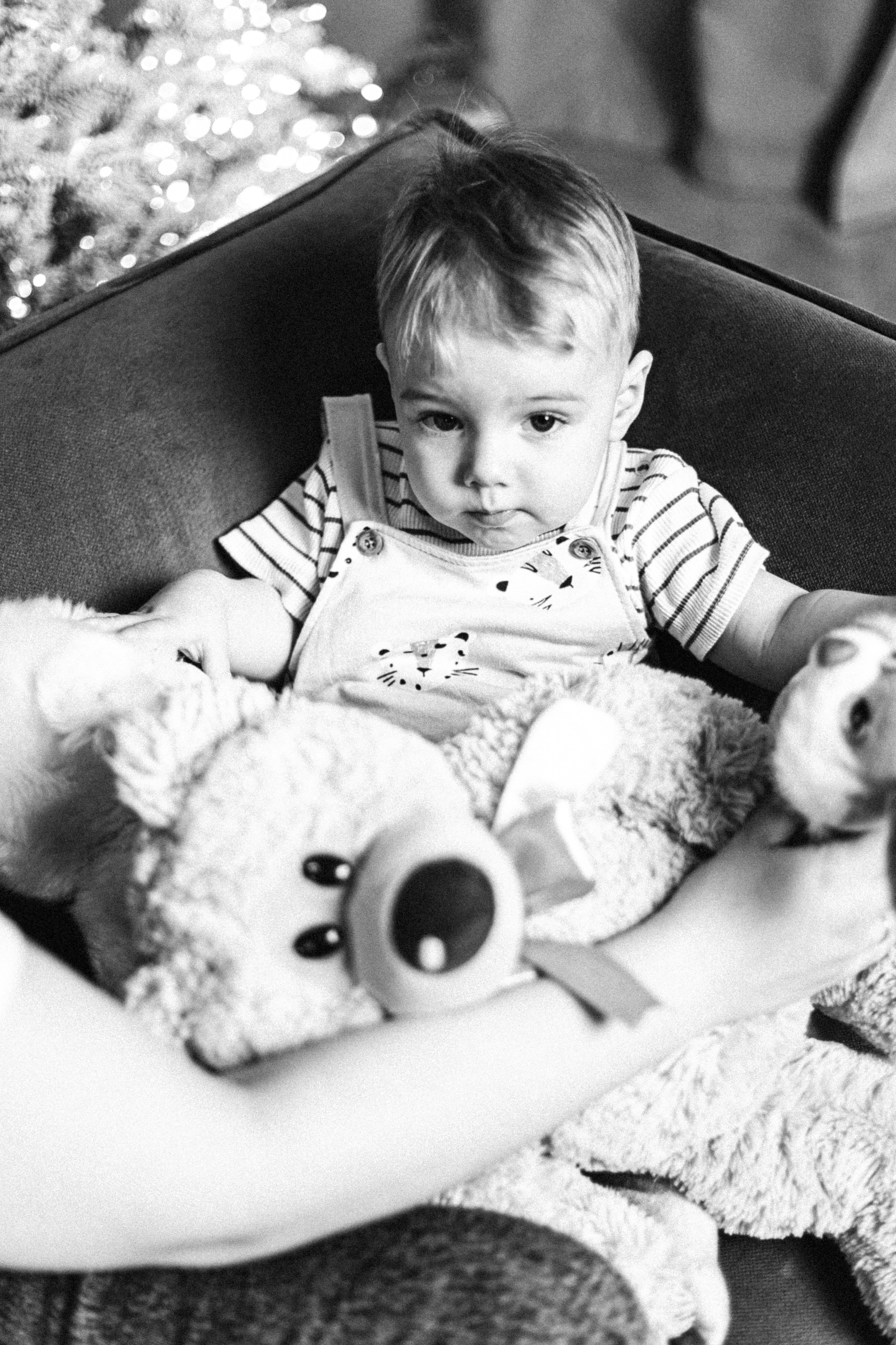 Новогодние. Арт-фотограф Крис Л. в Тобольске: портрет, семейные, свадьбы