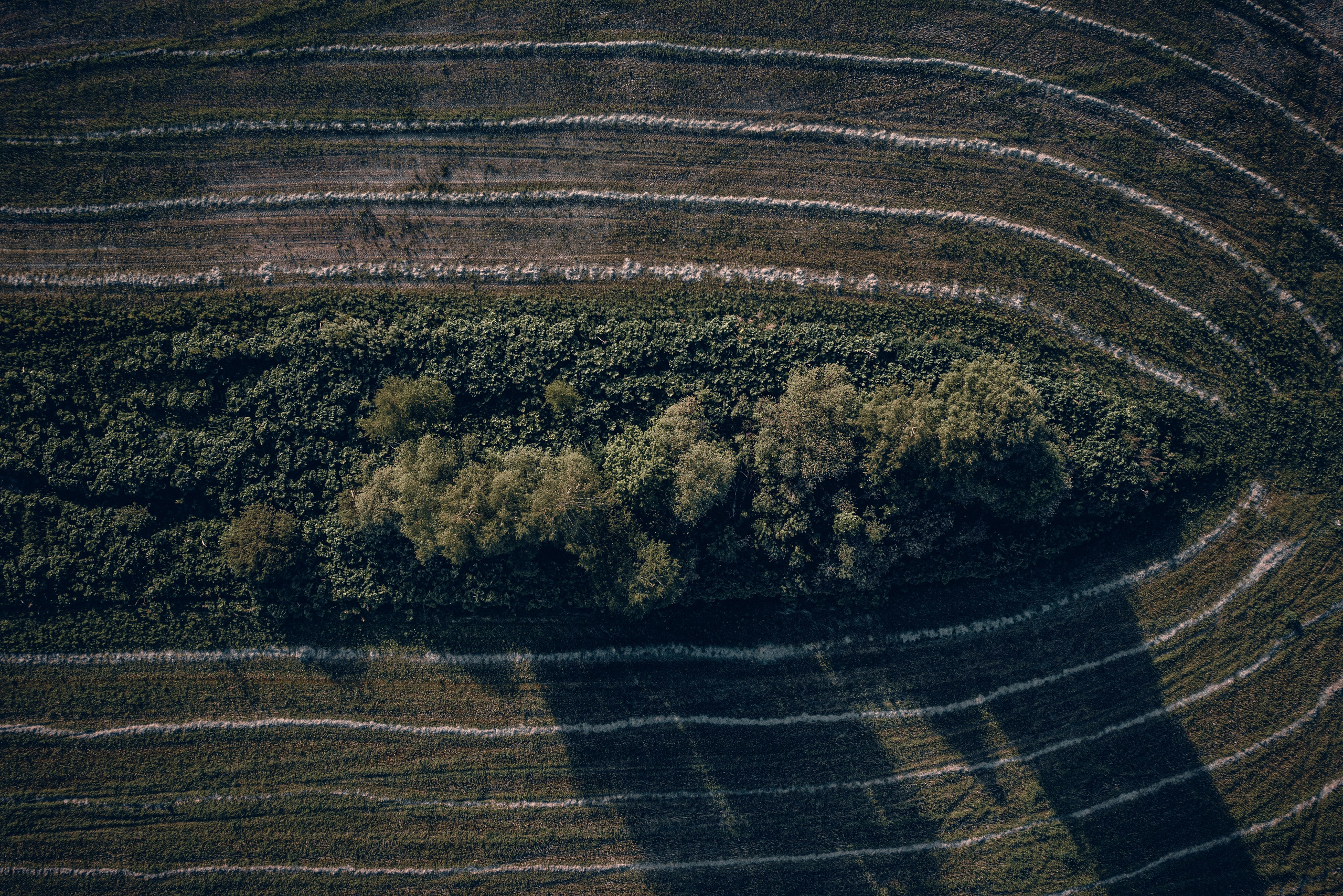 Видеография, полёты на дроне по живописным местам России!. Иван Кубик — фотограф и видеограф