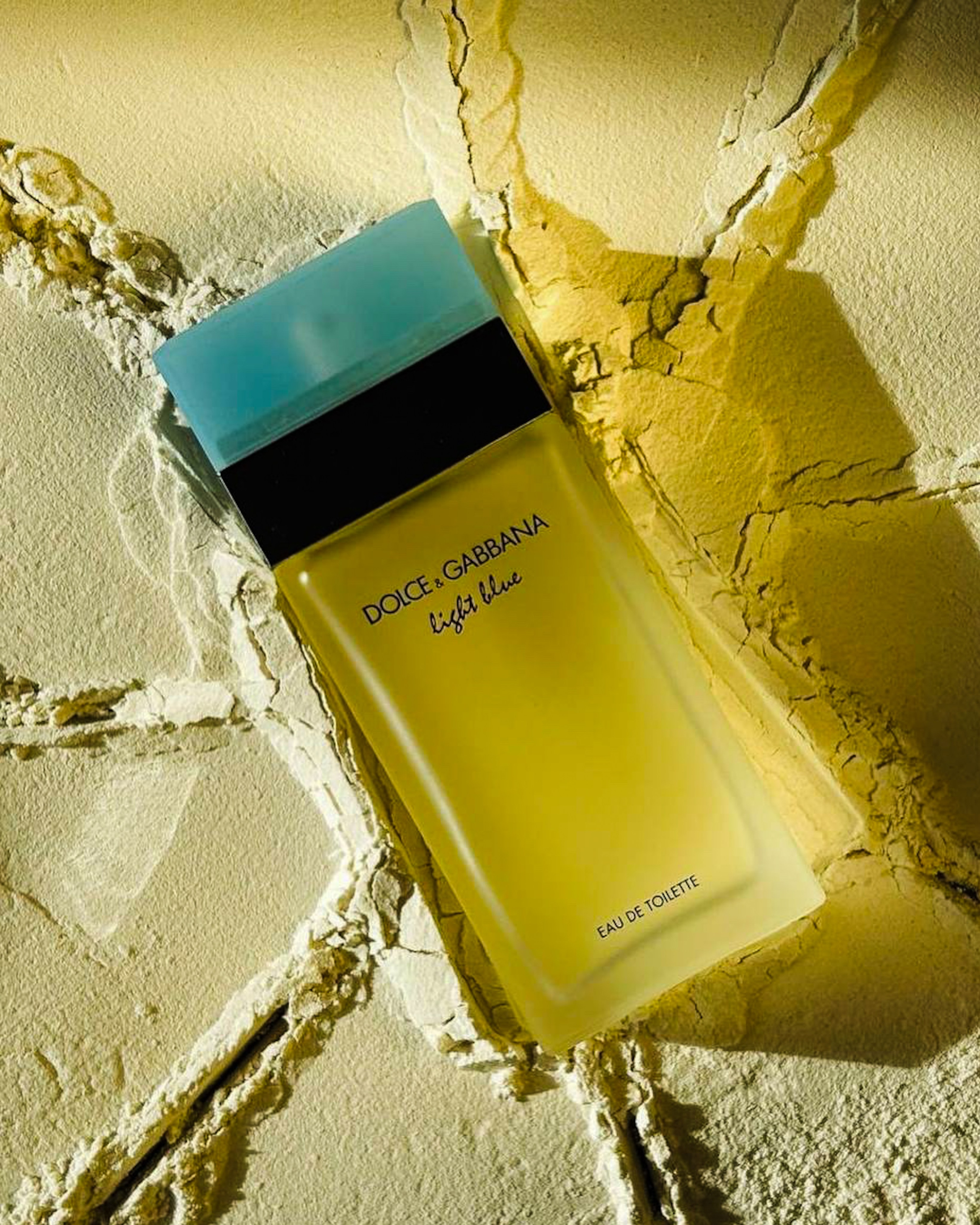 Курс «По предметной съемке и продвижению в Reels». Anushikcreates