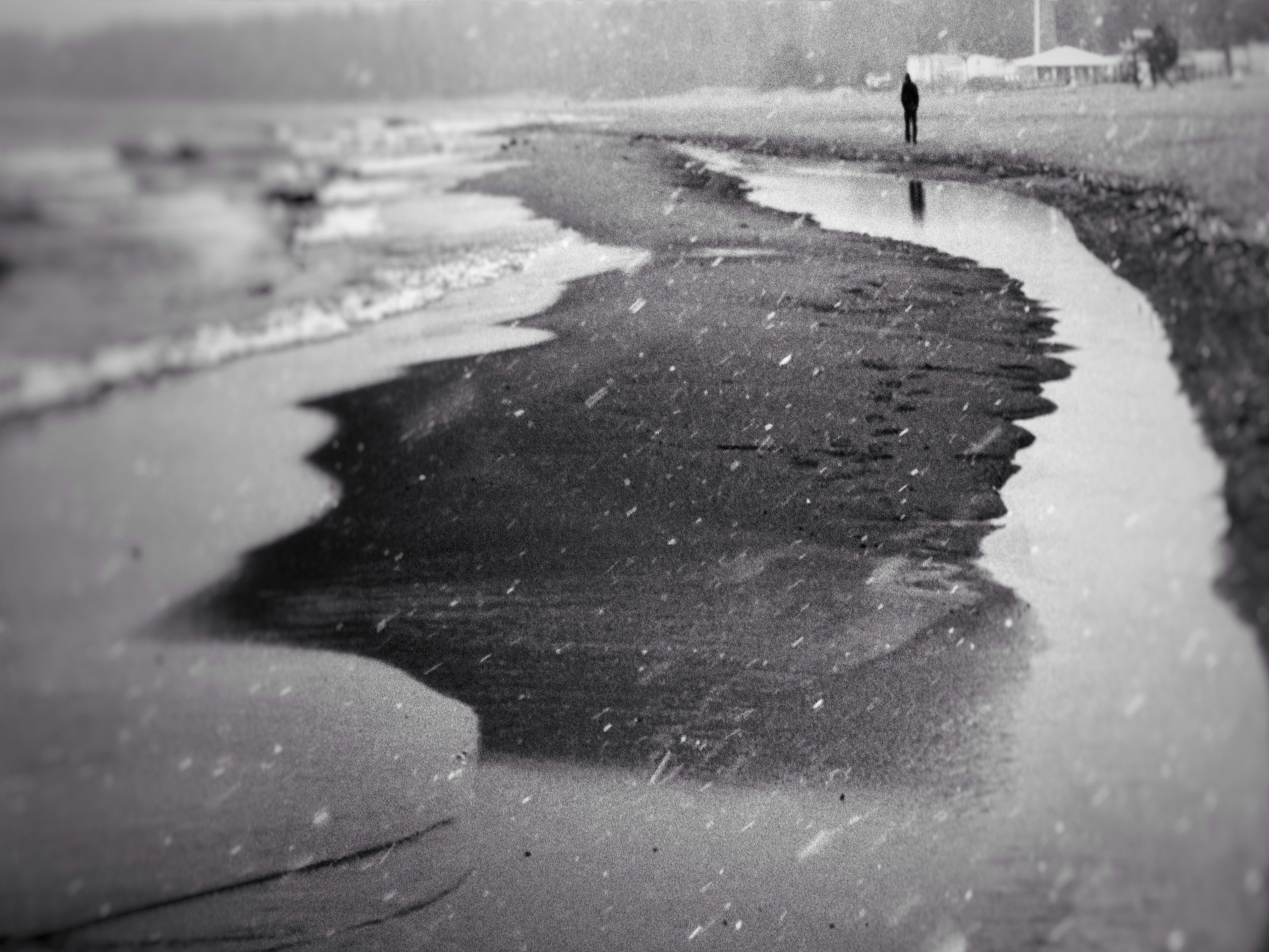 Вероника Новикова