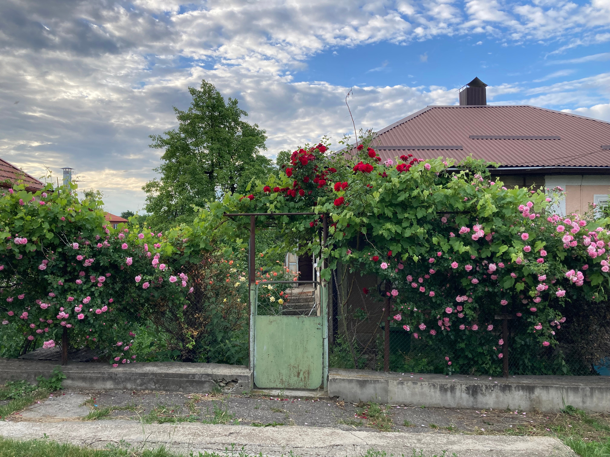 Кисловодск. Смотри, красота!