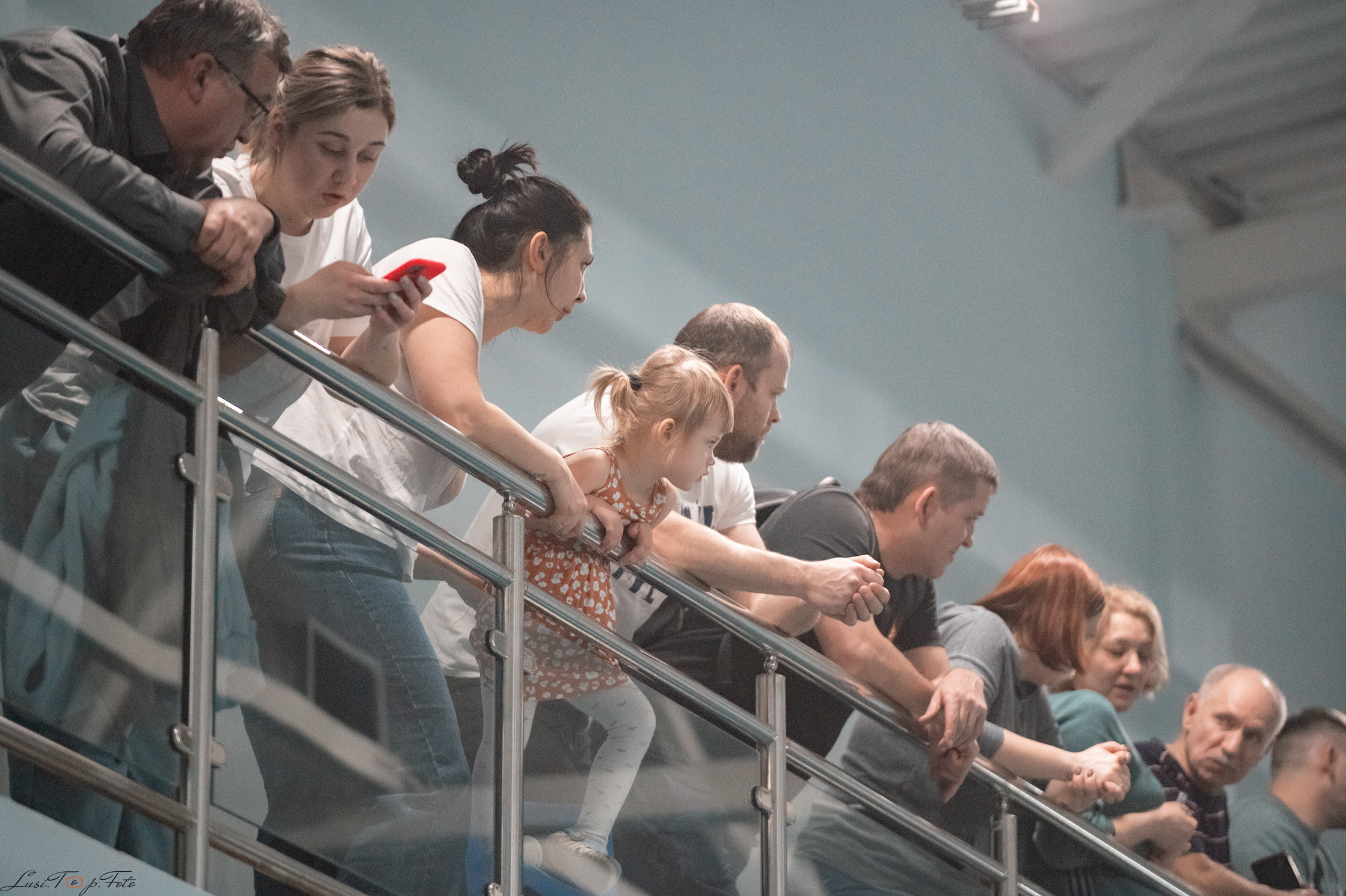 Соревнования по плаванию. Бассейн «Парус». Конный и фотограф с животными в Твери Топталова Люся