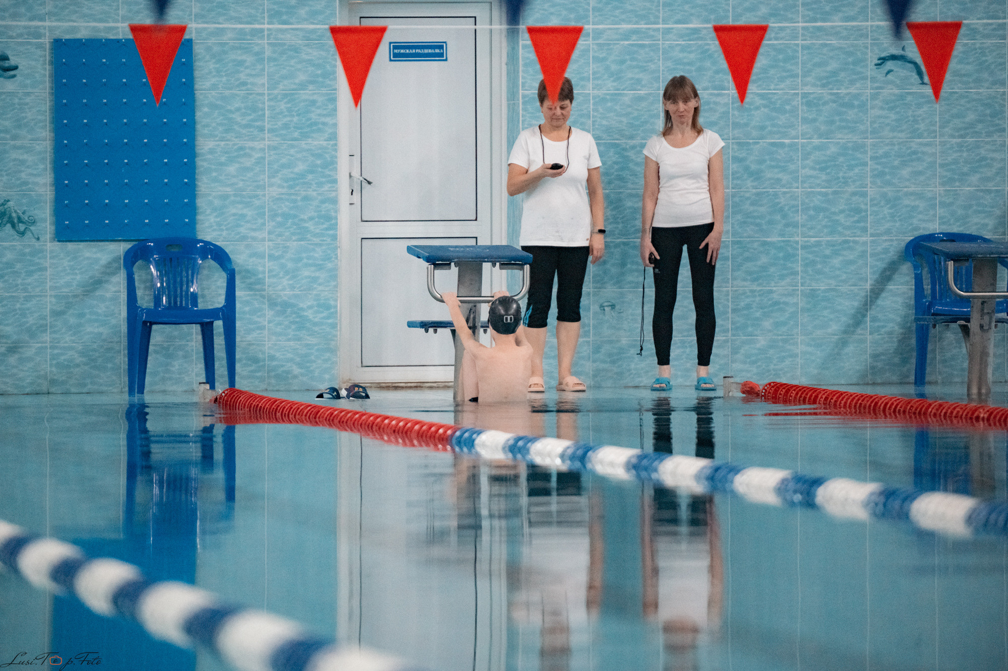 Соревнования по плаванию. Бассейн «Парус». Конный и фотограф с животными в Твери Топталова Люся