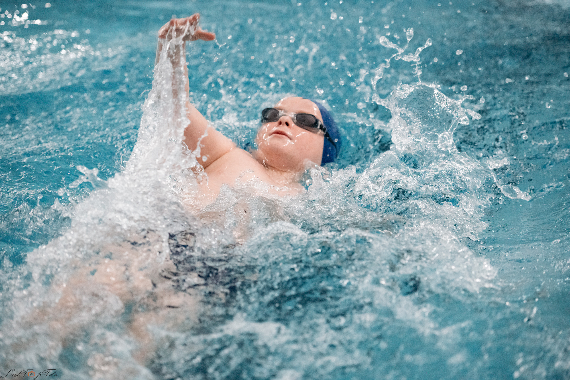 Соревнования по плаванию. Бассейн «Парус». Конный и фотограф с животными в Твери Топталова Люся