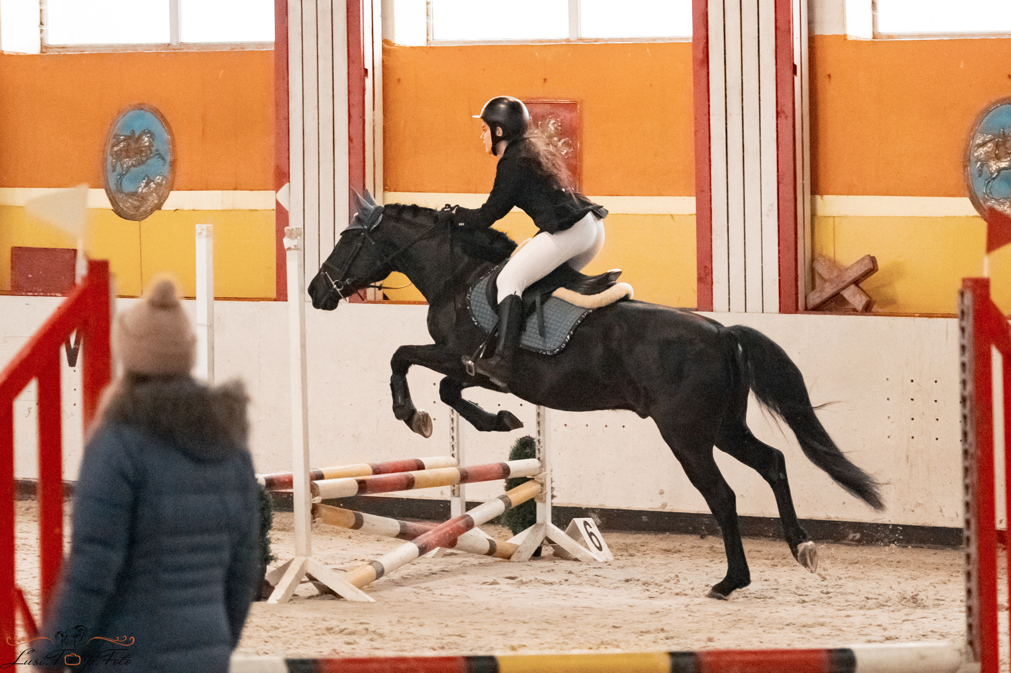 Новогодний конкур Конаковские Конюшни. Конный и фотограф с животными в Твери Топталова Люся