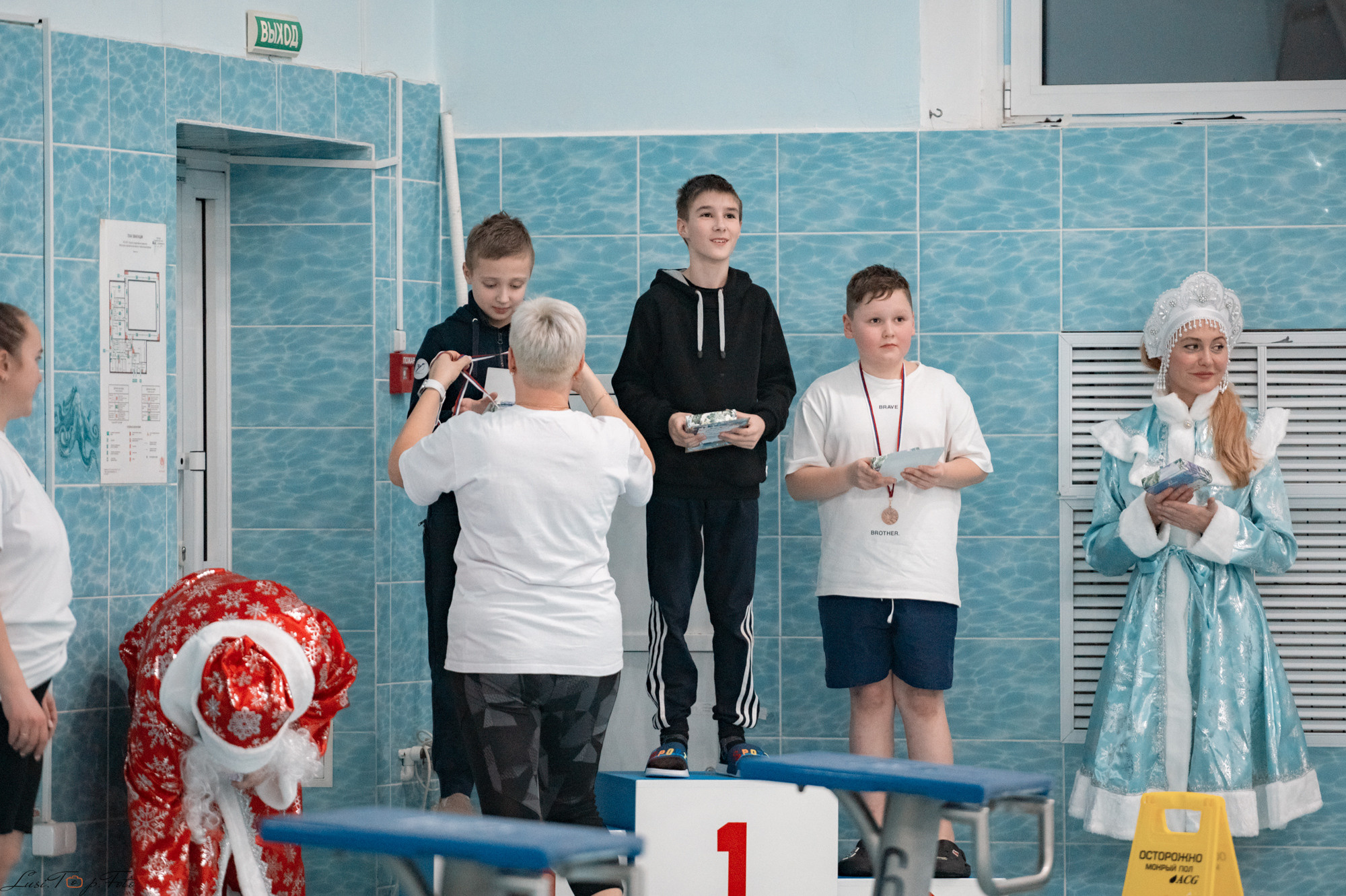 Соревнования по плаванию. Бассейн «Парус». Конный и фотограф с животными в Твери Топталова Люся