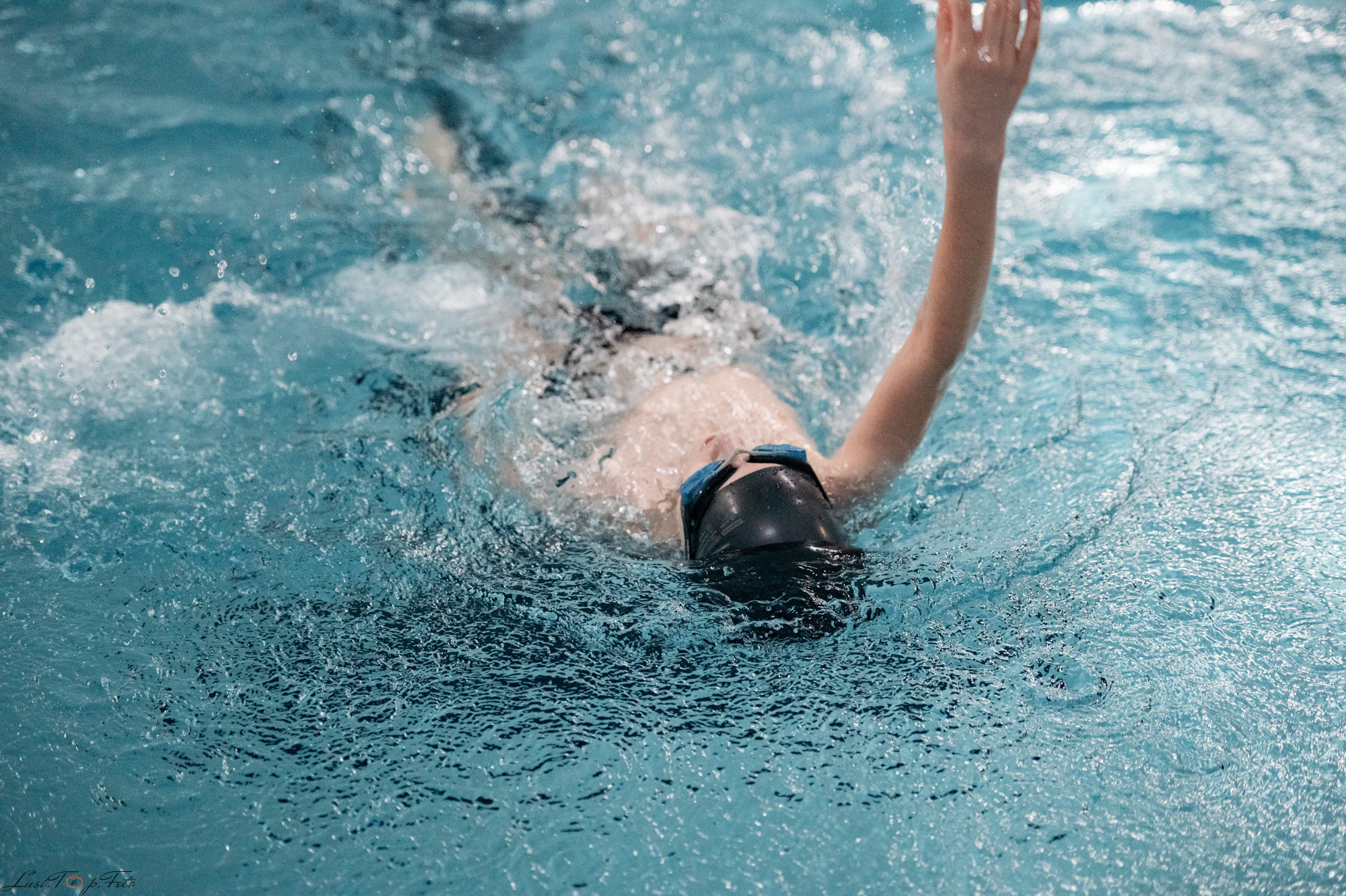 Соревнования по плаванию. Бассейн «Парус». Конный и фотограф с животными в Твери Топталова Люся