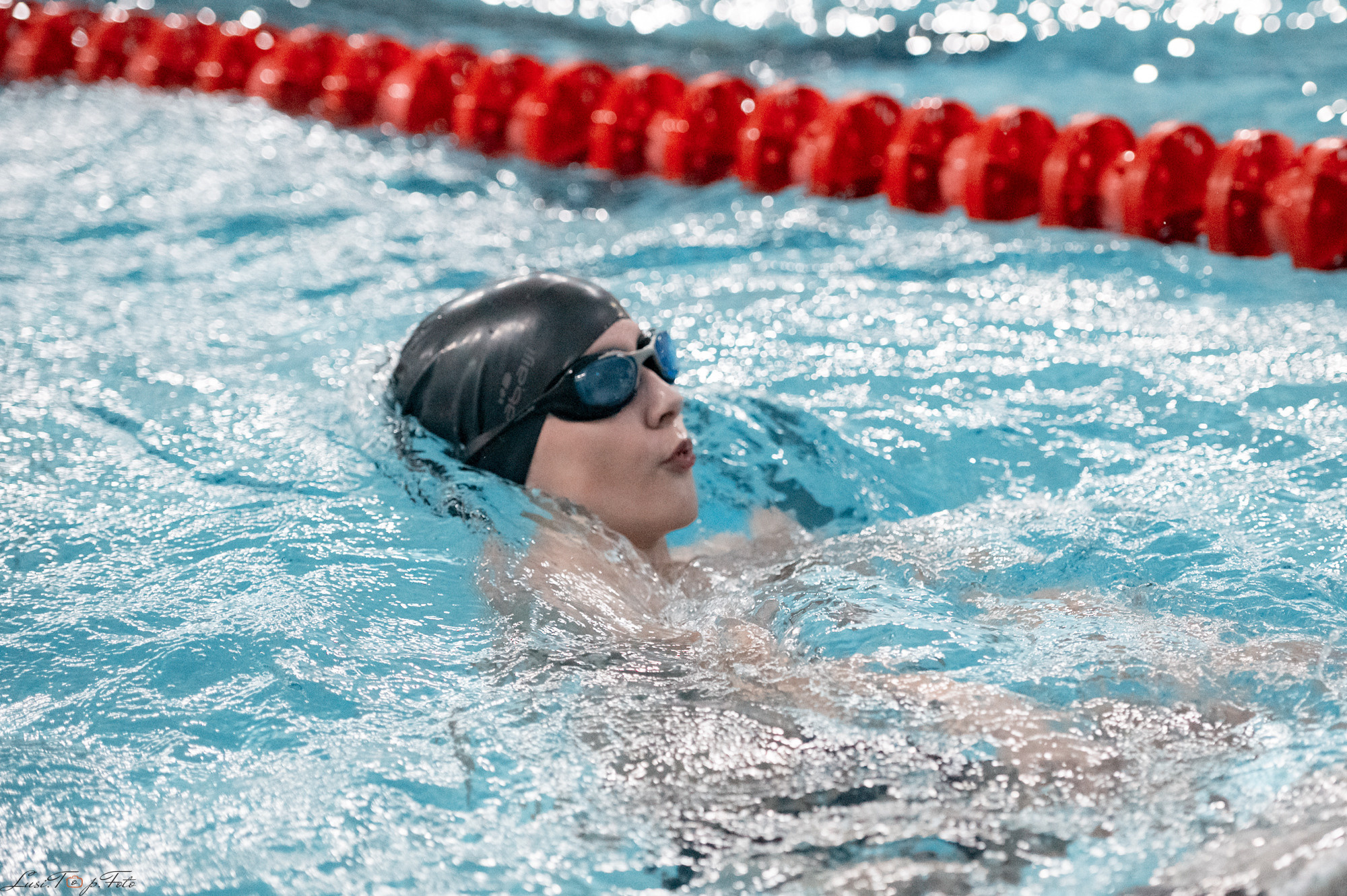 Соревнования по плаванию. Бассейн «Парус». Конный и фотограф с животными в Твери Топталова Люся