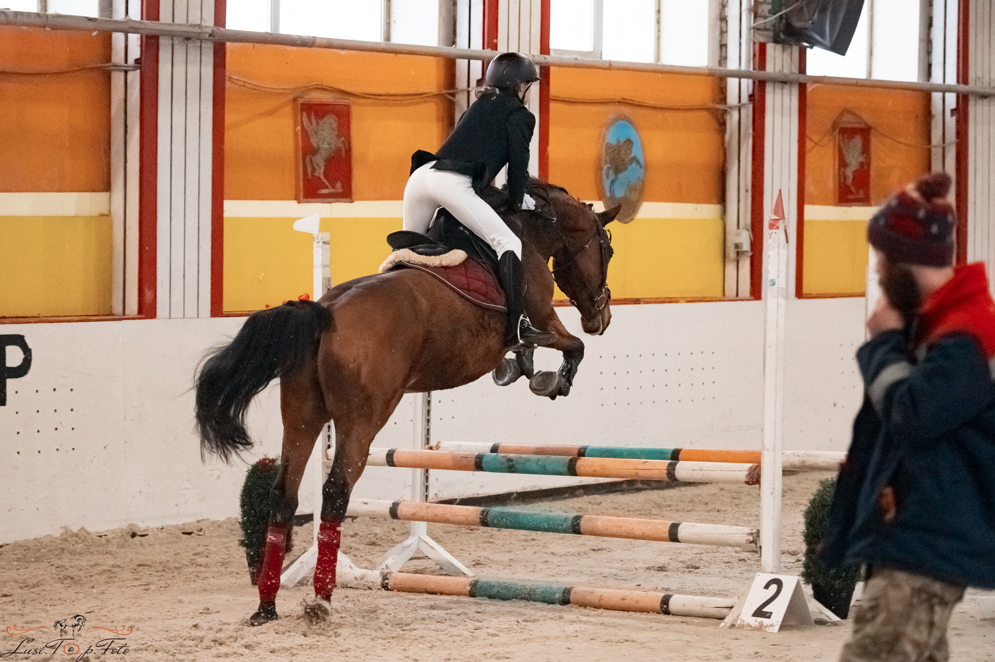 Новогодний конкур Конаковские Конюшни. Конный и фотограф с животными в Твери Топталова Люся