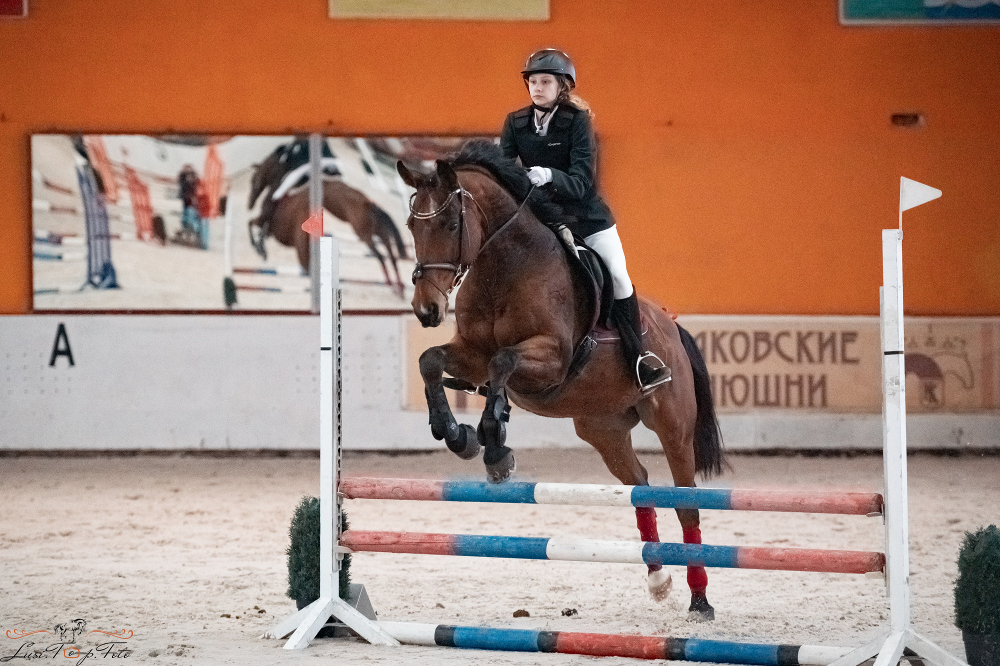 Новогодний конкур Конаковские Конюшни. Конный и фотограф с животными в Твери Топталова Люся